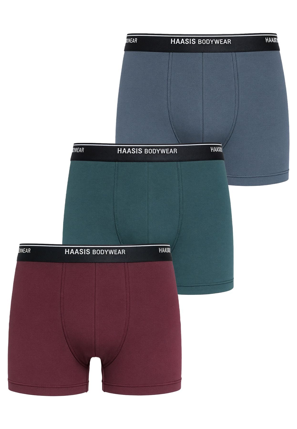 HAASIS Bodywear 1919 Retro Pants Herren Pants 77356413-S (Packung, 3-St., 3er Pack) Optimale Pants, Gummibund, ohne Eingriff