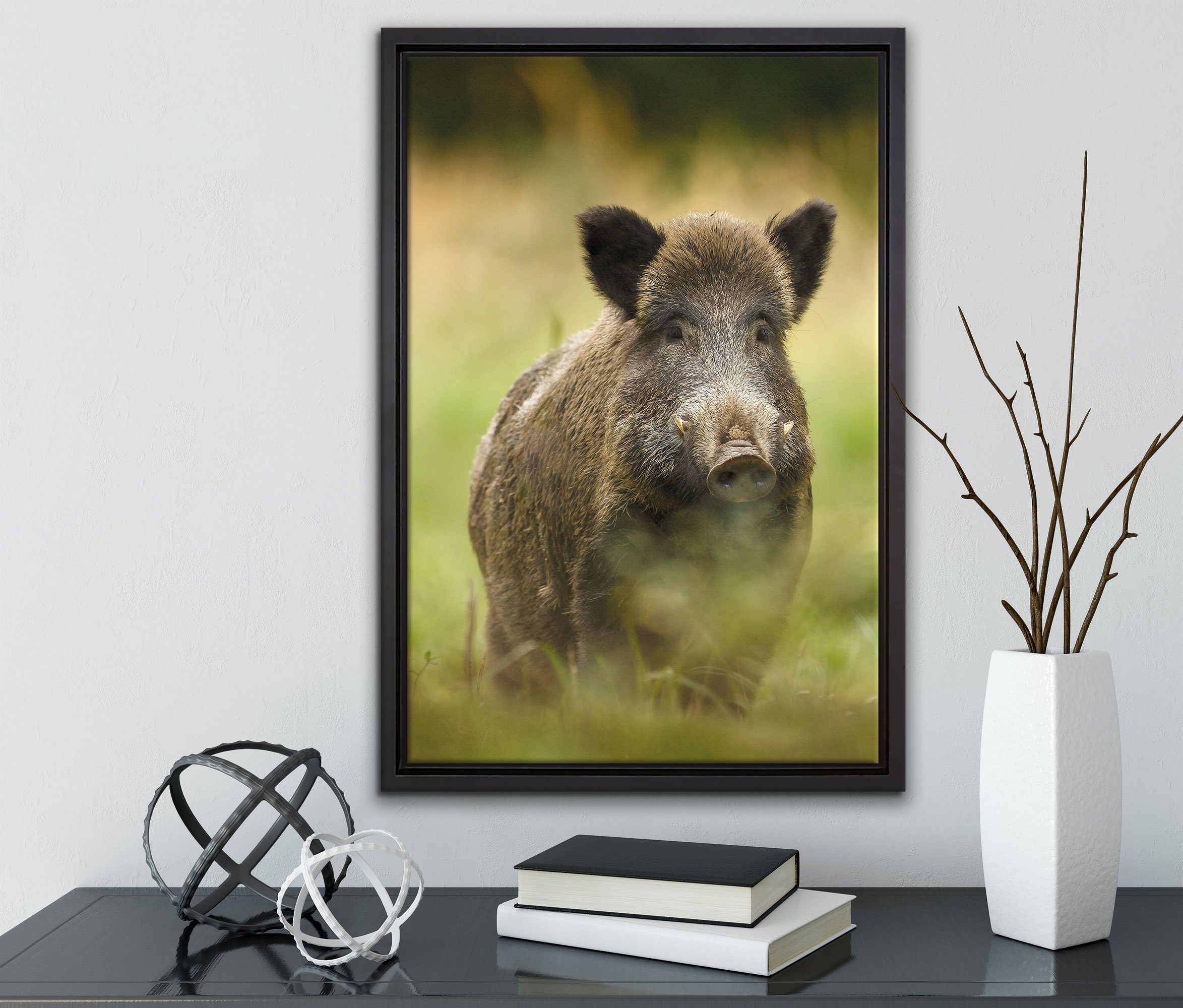 gefasst, bespannt, fertig Leinwandbild Wiese, einem St), Pixxprint Schattenfugen-Bilderrahmen inkl. Wildschwein Leinwandbild auf Zackenaufhänger in Wanddekoration (1