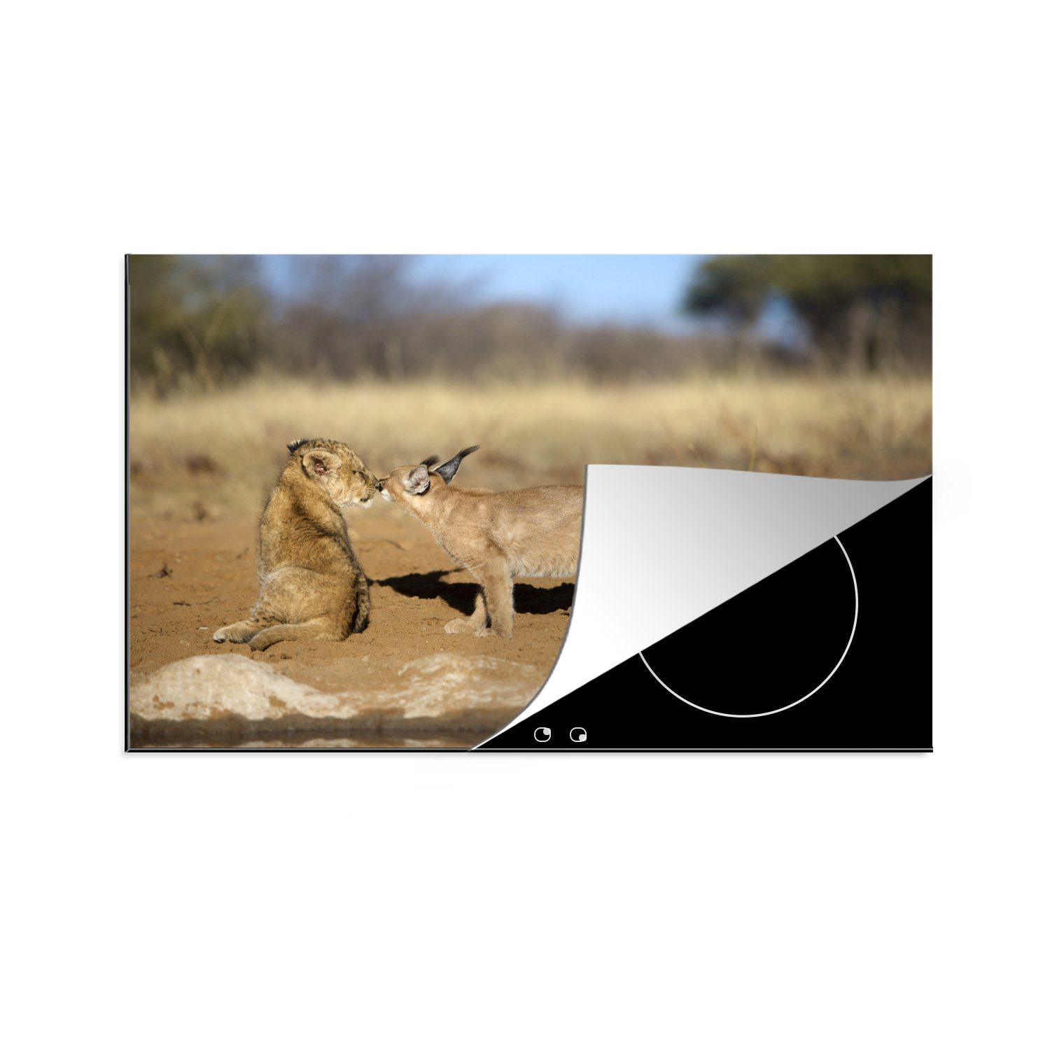 MuchoWow Herdblende-/Abdeckplatte Löwe - Tiere - Afrika, Vinyl, (1 tlg), 81x52 cm, Induktionskochfeld Schutz für die küche, Ceranfeldabdeckung