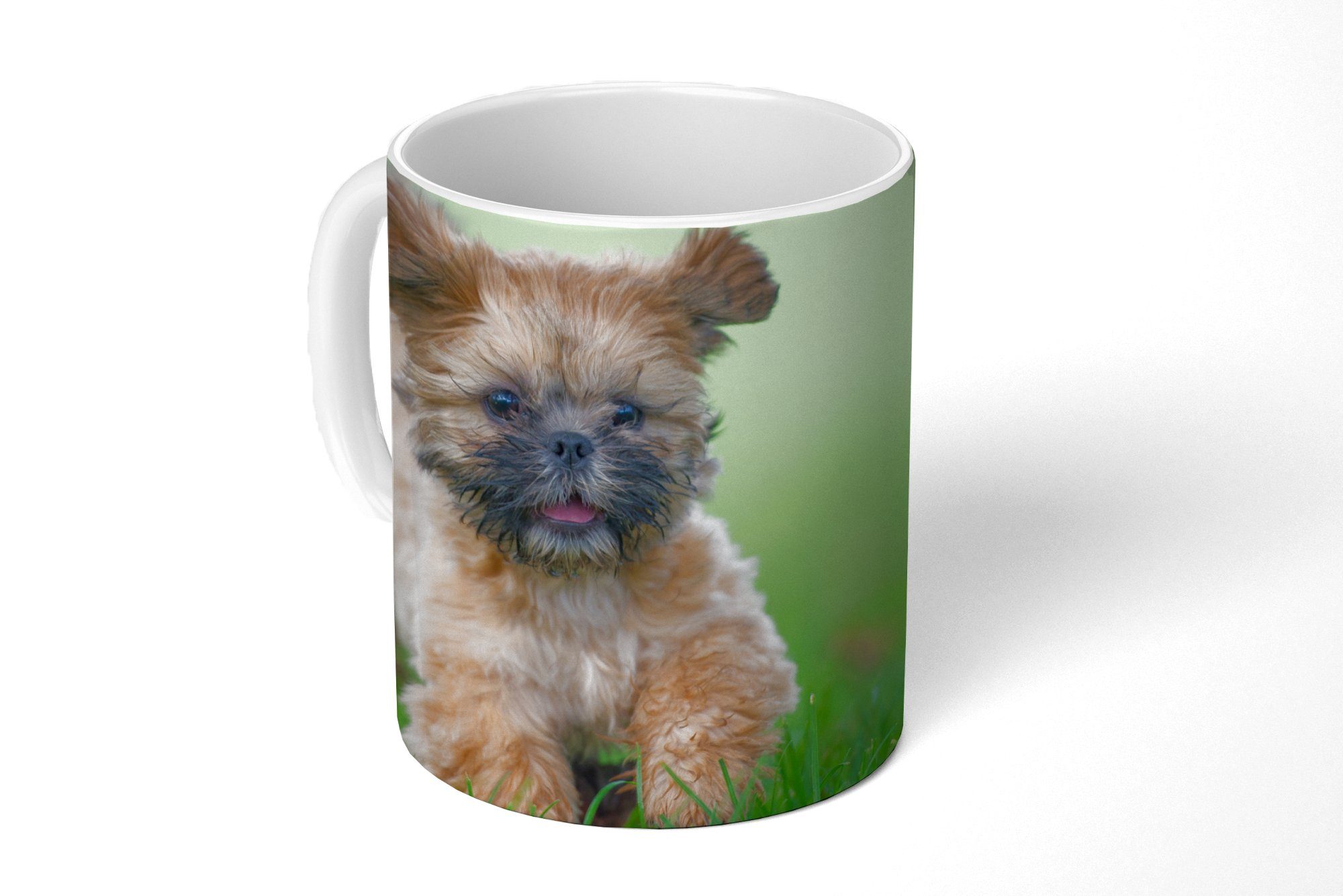 MuchoWow Tasse Ein niedlicher Shih Tzu Hund, der durch das Gras läuft, Keramik, Kaffeetassen, Teetasse, Becher, Teetasse, Geschenk