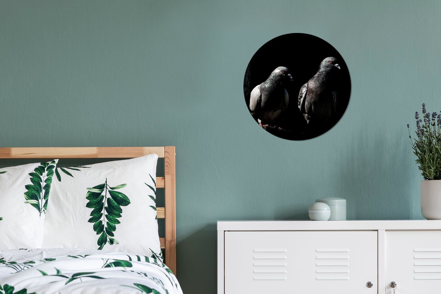 MuchoWow Gemälde Zwei schöne Forex, cm Tauben Hintergrund, schwarzem 30x30 Wanddekoration Kreis auf Rundes Wohnzimmer, Wandbild, (1 St)