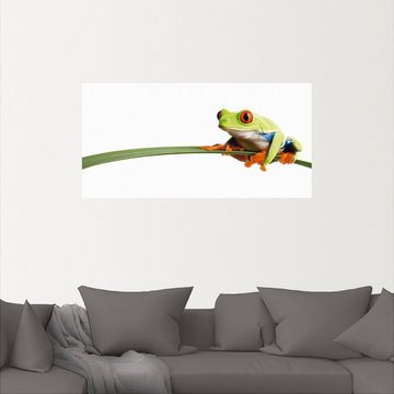 Artland Wandbild Frosch auf einem Blatt, Wassertiere (1 St), als Alubild, Outdoorbild, Leinwandbild, Poster, Wandaufkleber