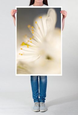 Sinus Art Poster 60x90cm Poster Künstlerische Fotografie  Zarte romantische Kirschblüte