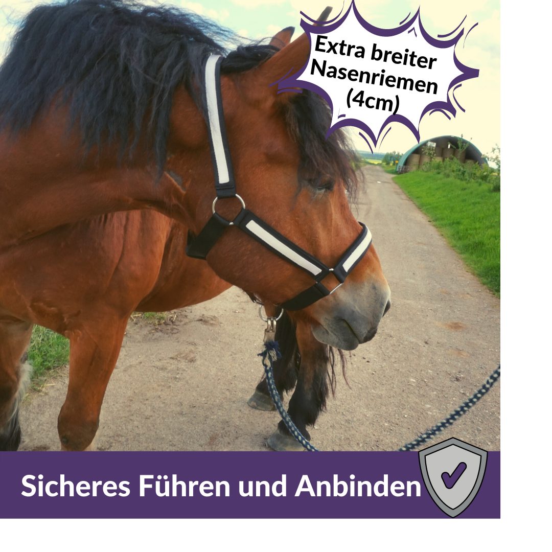Pferdelinis Halfter Halfter für Pferde Kaltblut, xfull, 2 Fach verstellbar, zweifach verstellbar