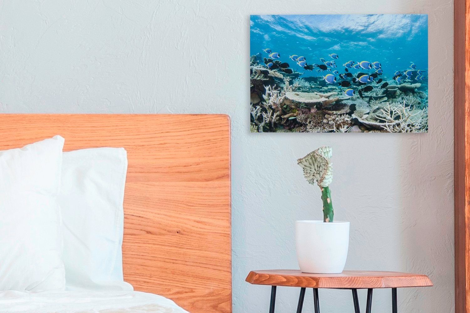 OneMillionCanvasses® Leinwandbild Korallen Leinwandbilder, 30x20 (1 einem St), Wandbild in Ozean, Aufhängefertig, cm Wanddeko, blauen