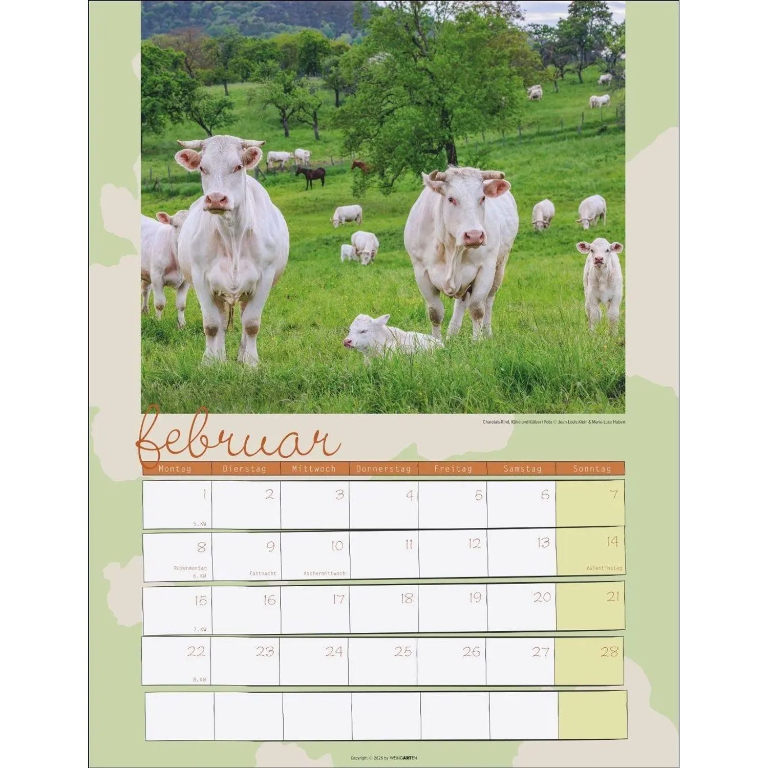 Wandkalender Kuh Kalender 2027