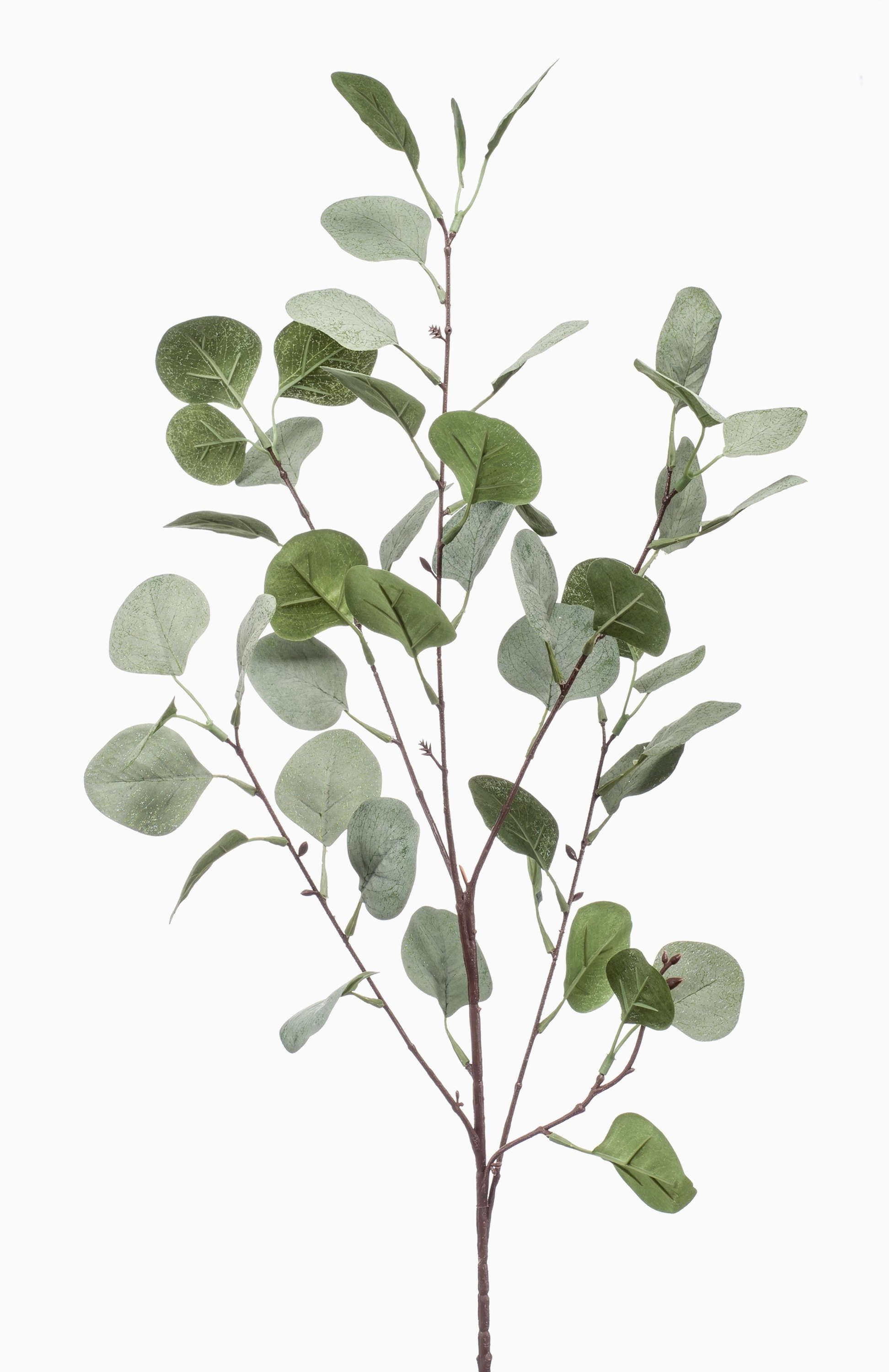 Kunstzweig Eukalyptus Zweig Colton, grün-grau, 85cm Eukalyptus, artplants, Höhe 85.0 cm