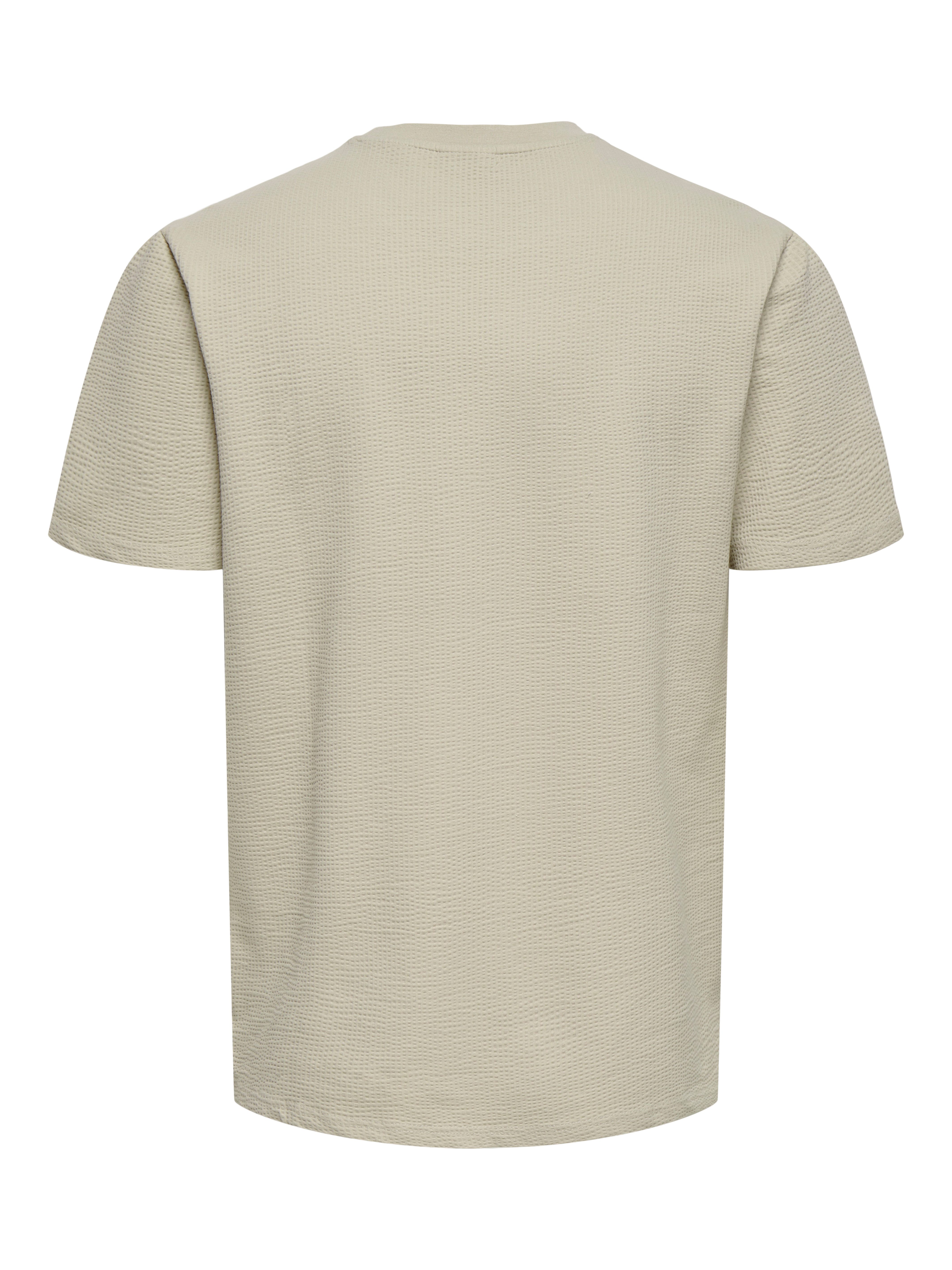 ONLY & SONS Rundhalsshirt ONSKIAN LIFE REG SEERSUCKER SS TEE NOOS