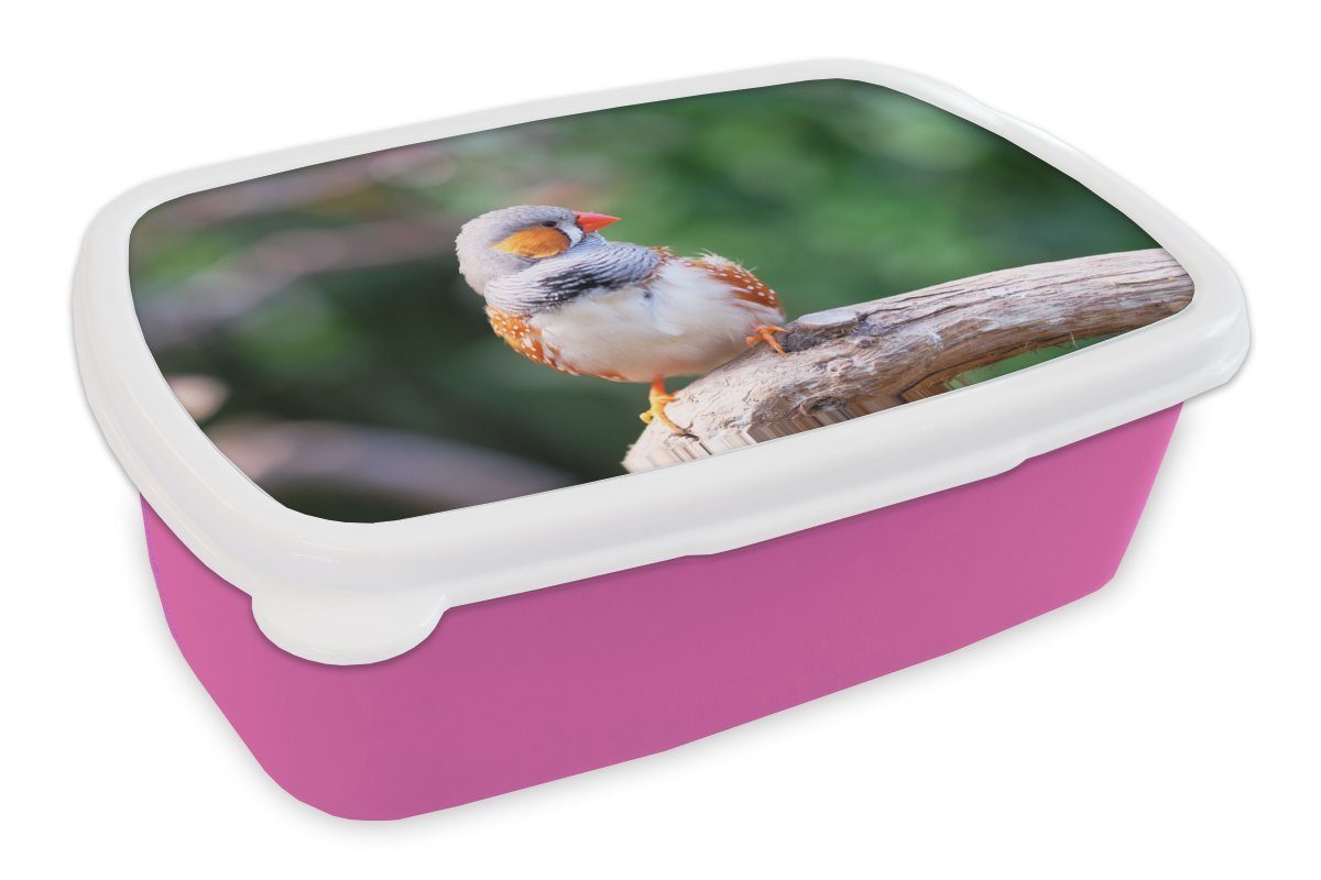 MuchoWow Lunchbox Dies ist ein kleiner Zebrafink auf einem Holzast, Kunststoff, (2-tlg), Brotbox für Erwachsene, Brotdose Kinder, Snackbox, Mädchen, Kunststoff rosa