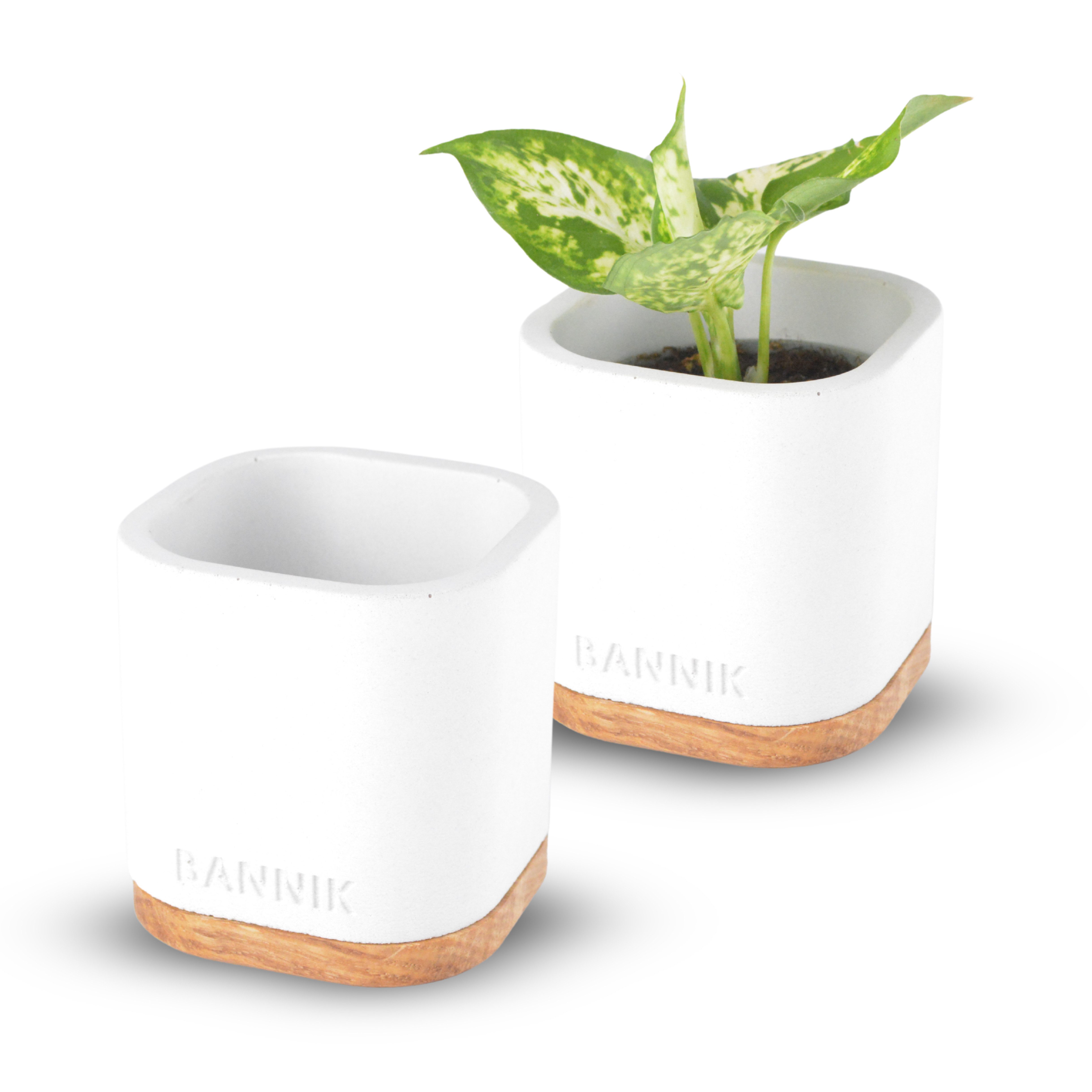 Bannik Blumentopf aus Beton und Holz günstig online kaufen