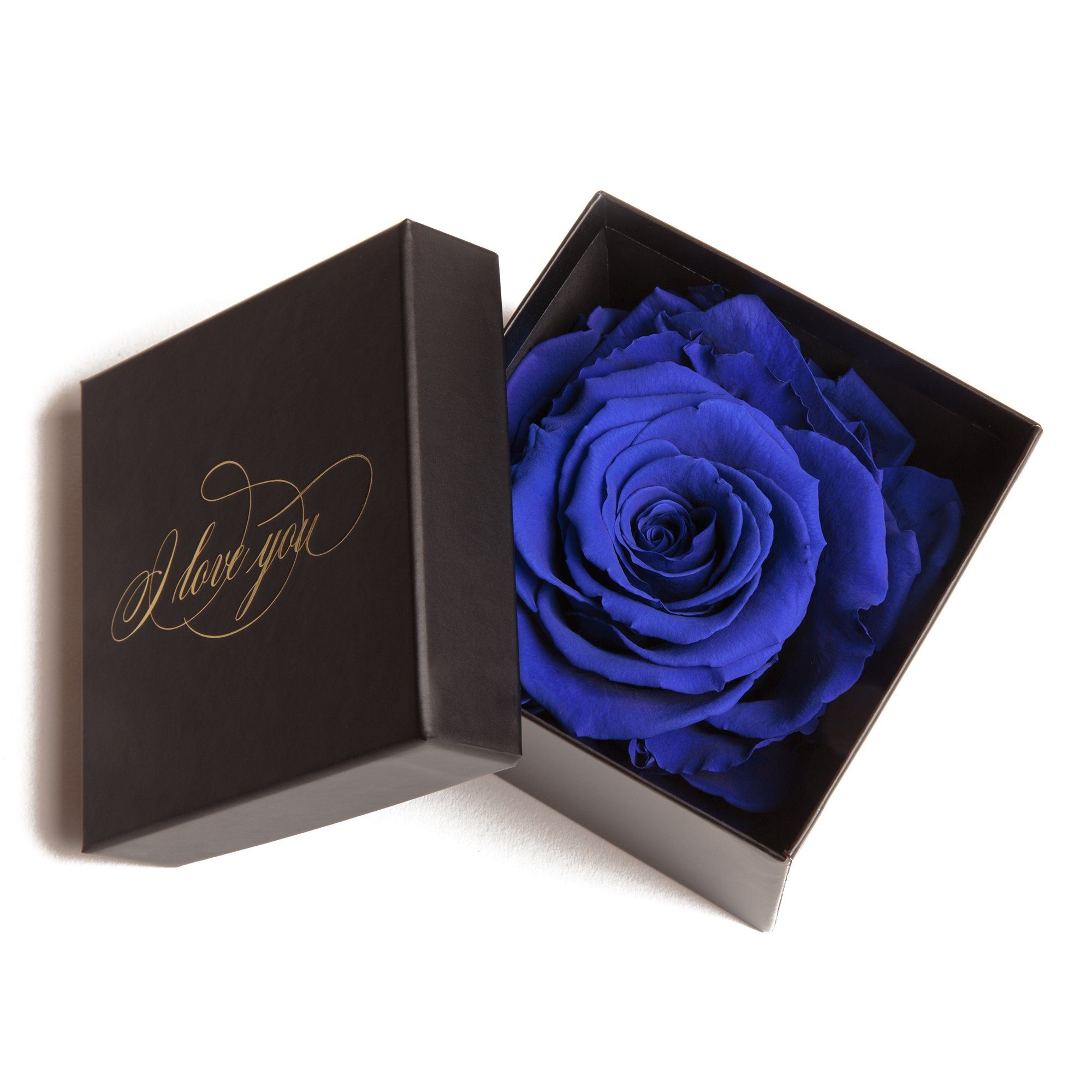 Kunstblume Infinity Rose Box I Love You Geschenk Idee Liebesbeweis Rose, ROSEMARIE SCHULZ Heidelberg, Höhe 6 cm, Echte Rose konserviert Blau