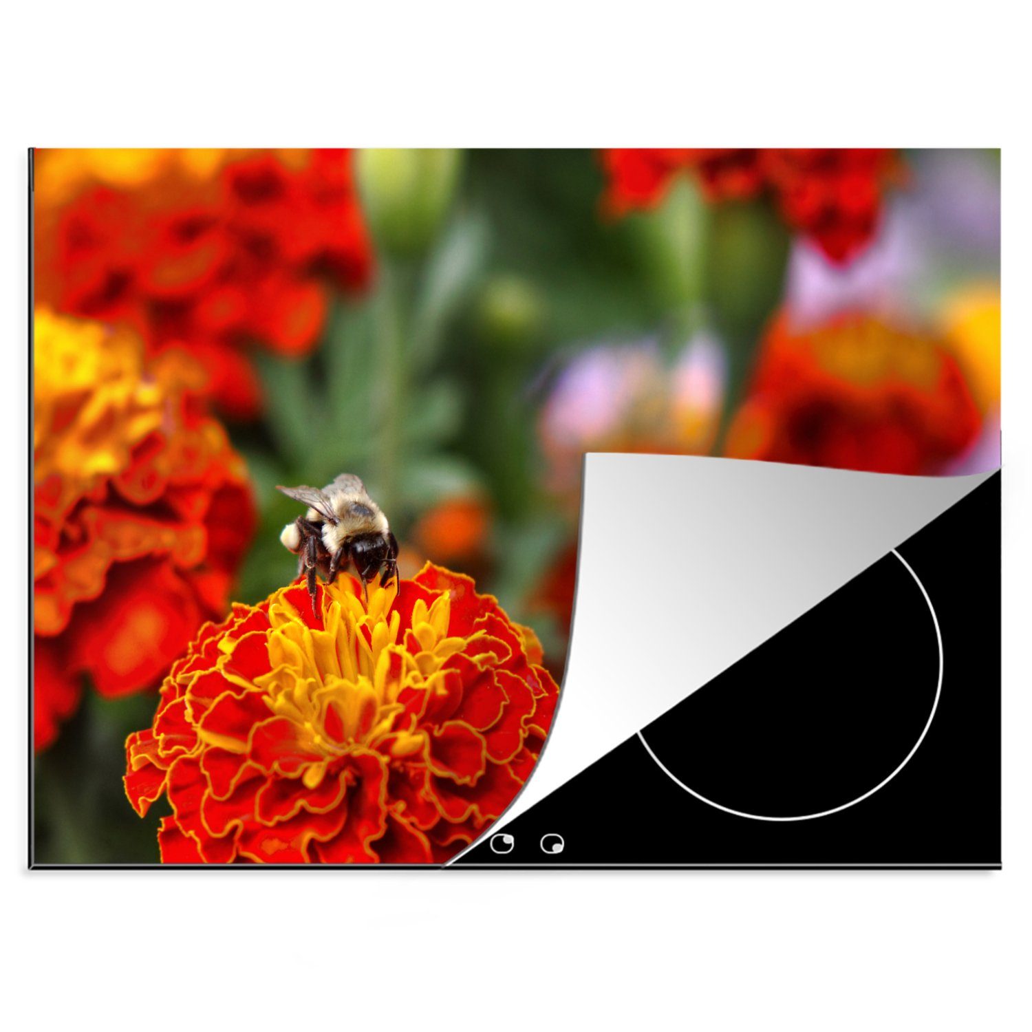 MuchoWow Herdblende-/Abdeckplatte Hummel auf einer Ringelblume, Vinyl, (1 tlg), 70x52 cm, Mobile Arbeitsfläche nutzbar, Ceranfeldabdeckung