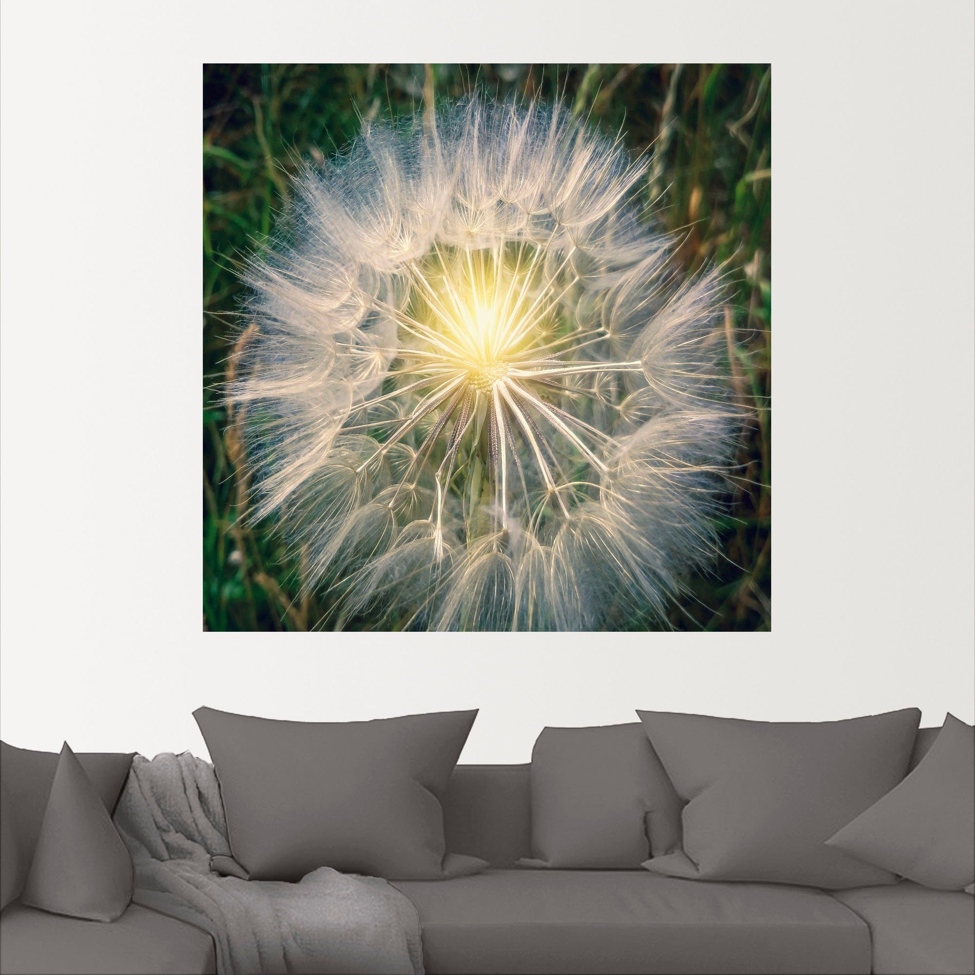 Artland Wandbild Pusteblume Makroaufnahme (1 in Größen mit versch. als Leinwandbild, Licht, Wandaufkleber Alubild, Blumenbilder Poster oder St)