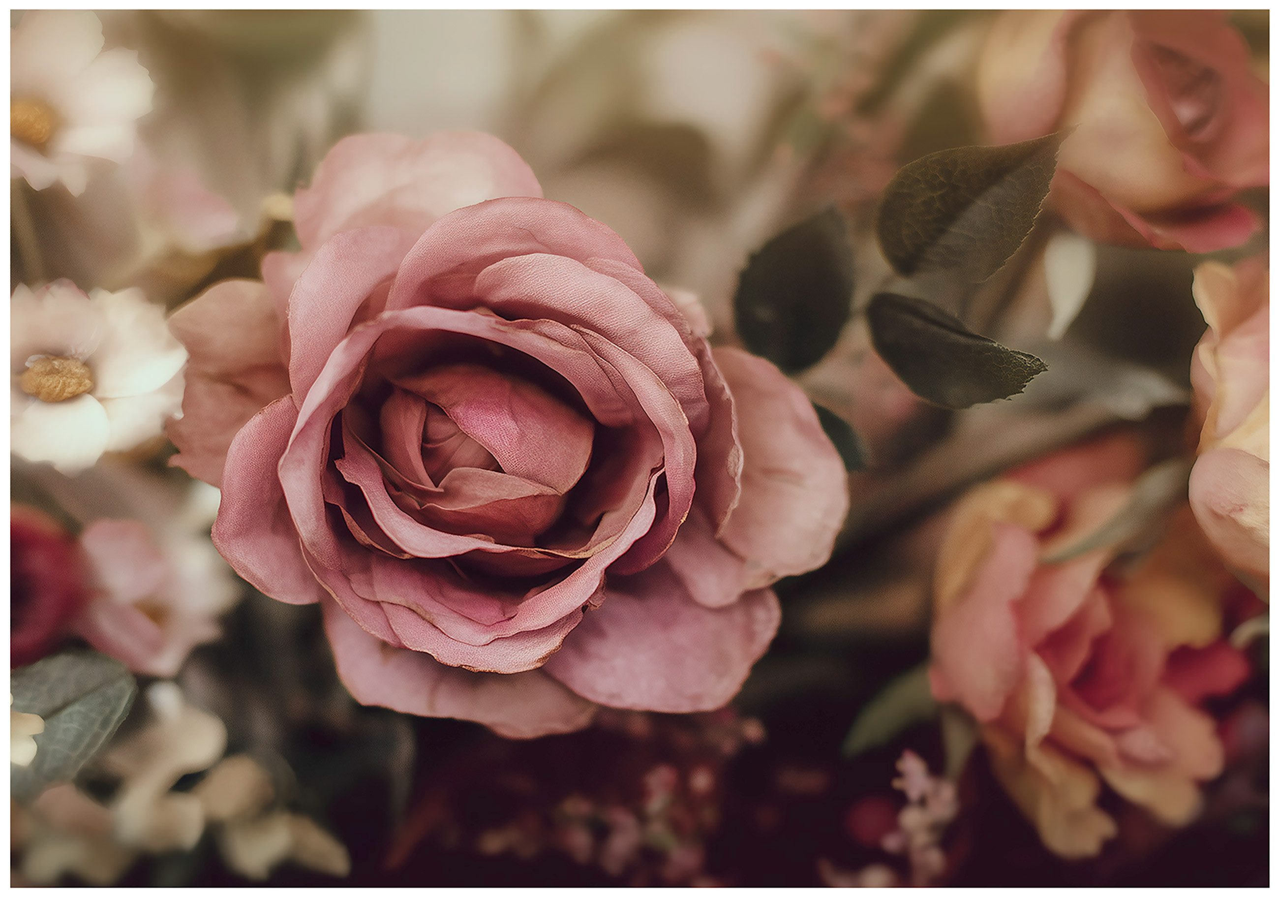 Wallarena Fototapete Blumen Rosen - Mehrfarbig - Elegant - Vlies - Schlafzimmer, glatt, (2 St), 100x70cm