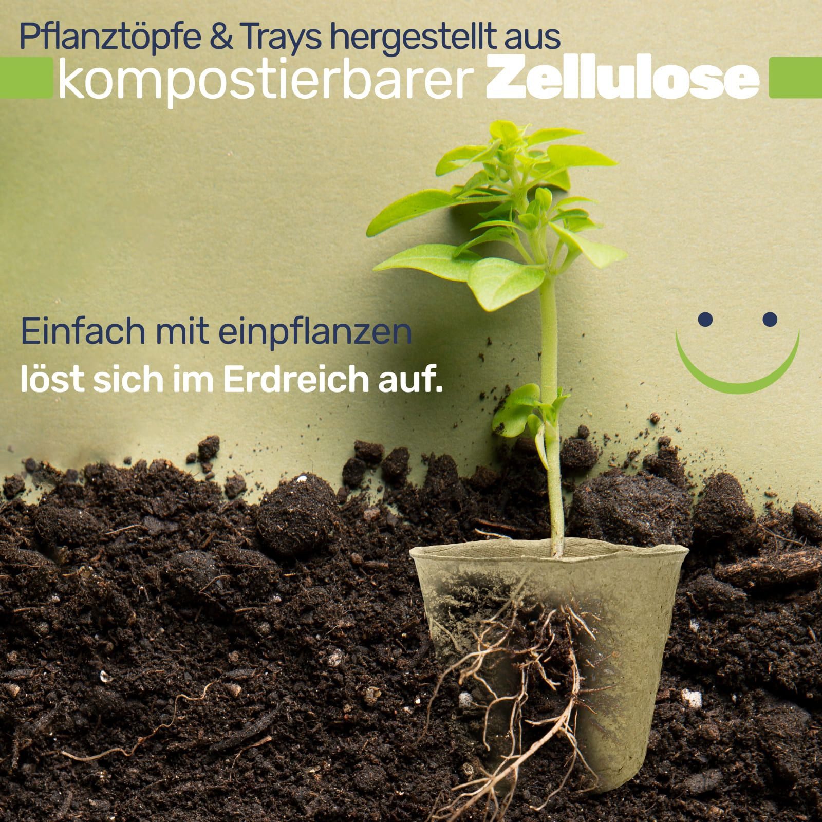 Gravidus Pflanzschale 67-teiliges Anzucht Set Mini-Gewächshaus (1 St)