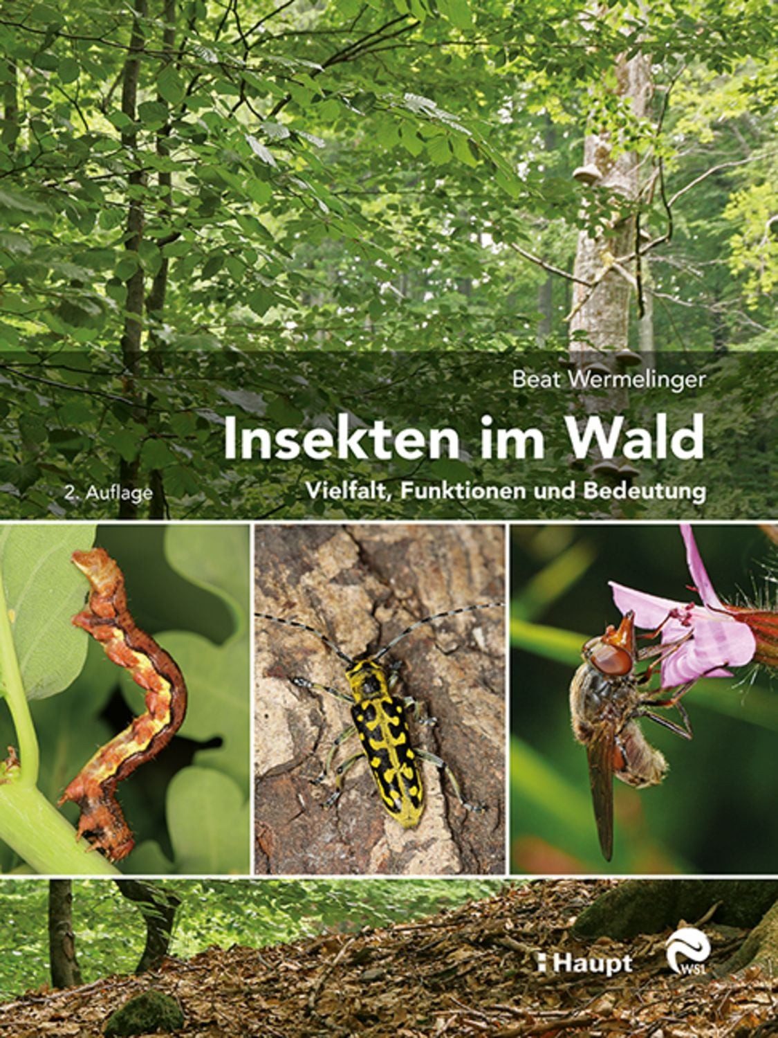 Insekten im Wald / Beat Wermelinger