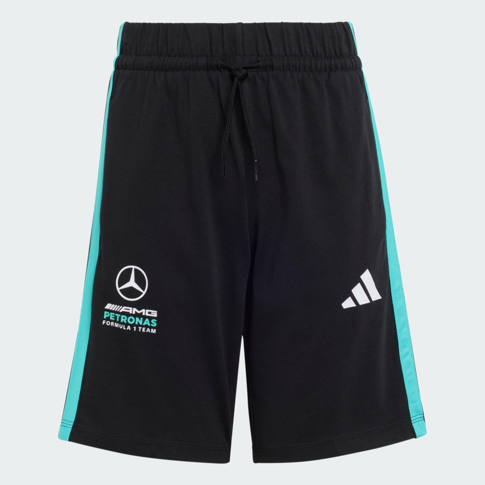 adidas Performance Shorts MERCEDES – AMG PETRONAS FORMEL 1 TEAM DNA SHORTS (1-tlg)