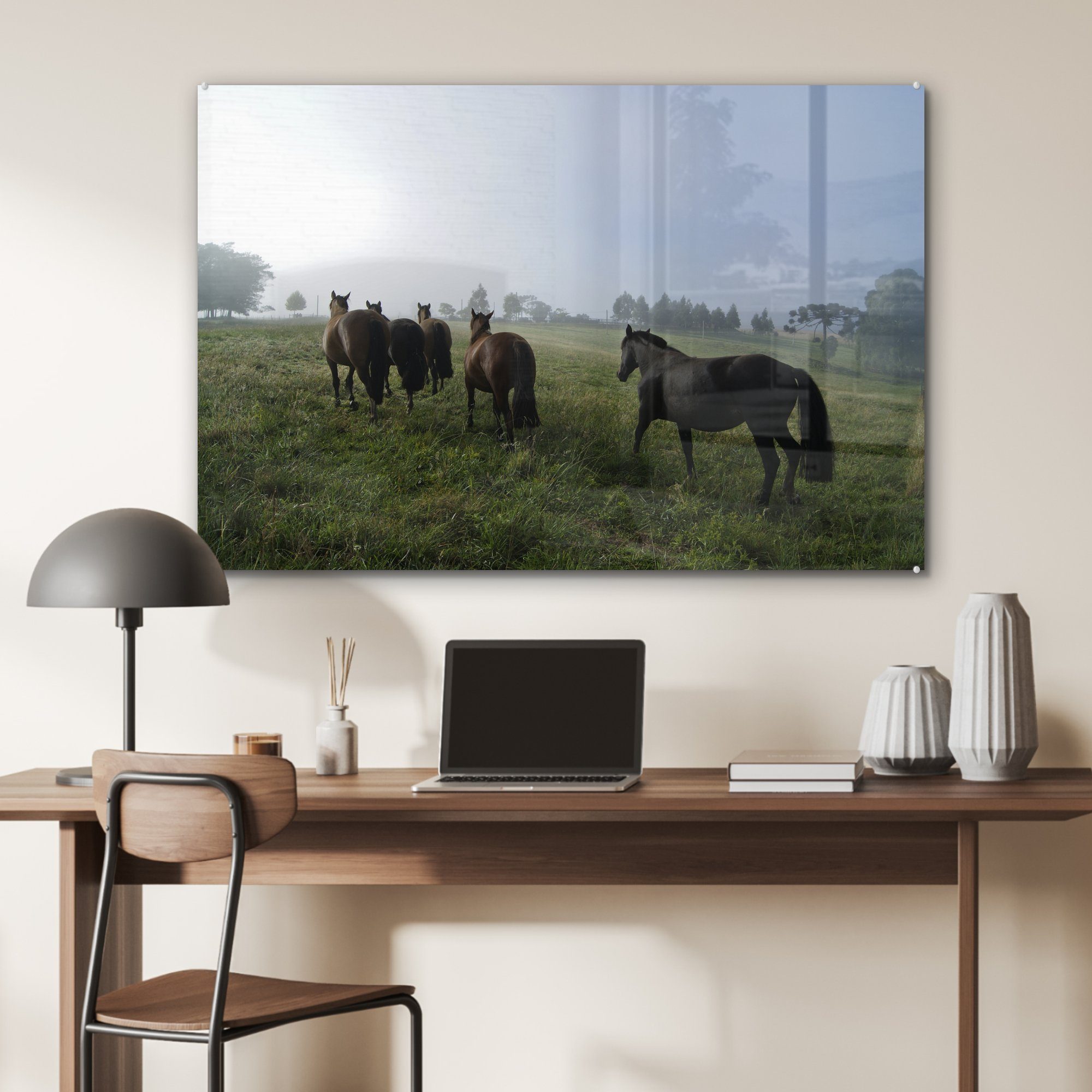MuchoWow Acrylglasbild Pferde - Criollo Acrylglasbilder & Gras, (1 - Schlafzimmer St), Wohnzimmer