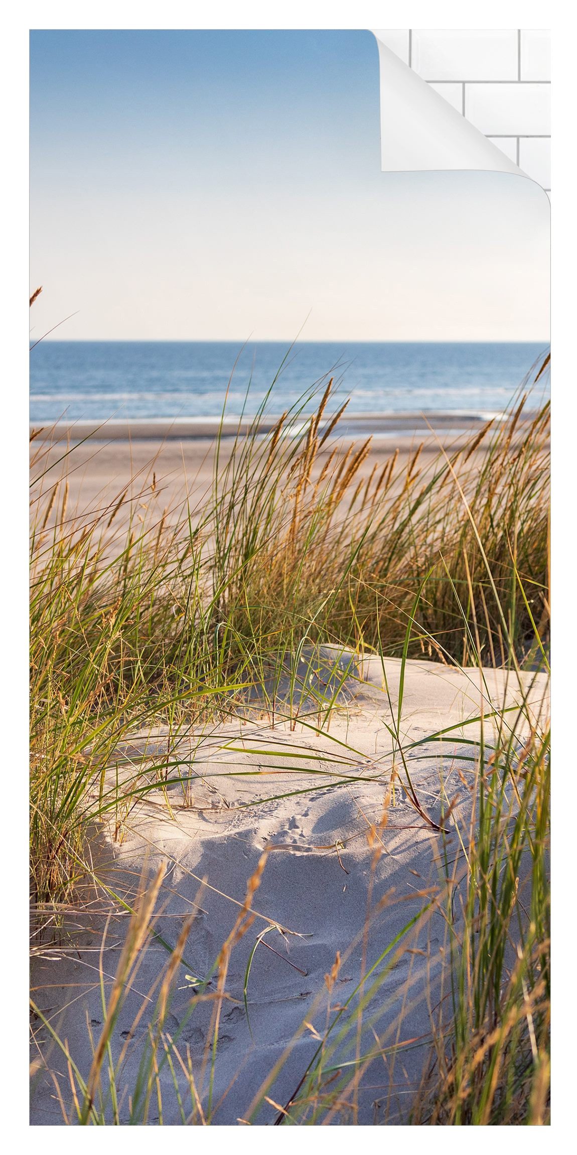 Bilderdepot24 Duschrückwand Strand beige Duschrückwand ohne Bohren Dusche Natur Meere, (1-tlg., 0,61 mm starke Folie selbstklebend Wandpaneele Dusche versch. Größen), fugenlose & wasserfeste Motiv Rückwand Wandverkleidung für Duschkabine