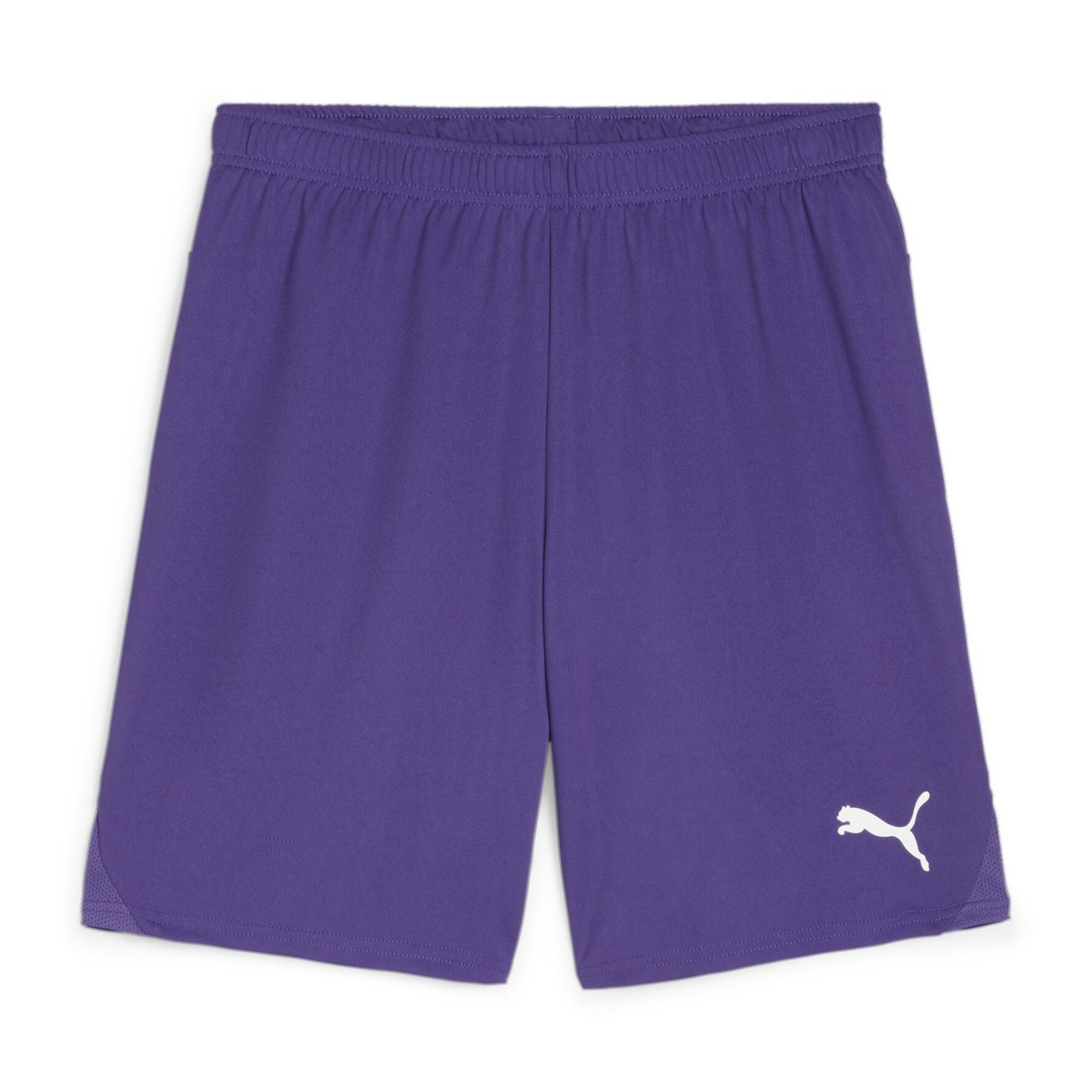 PUMA Trainingsshorts Puma Kinder Short teamGOAL Shorts Jr 705753