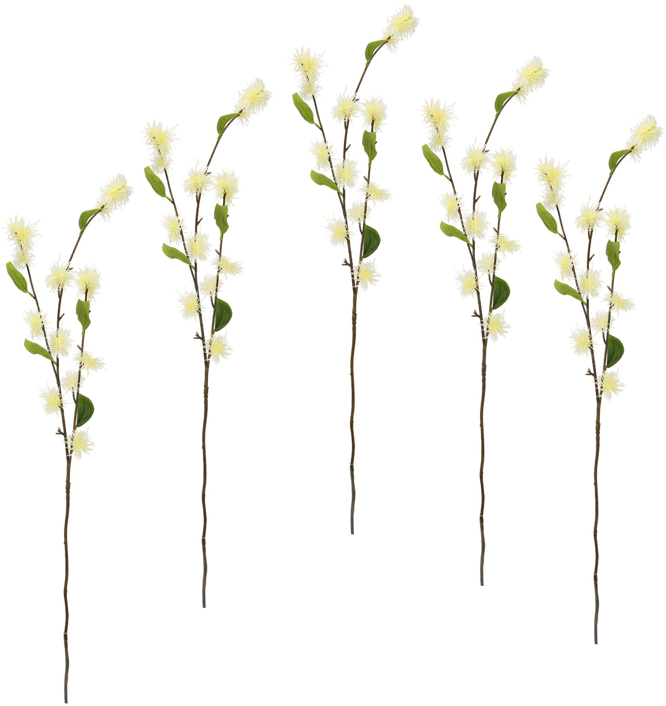 Kunstblume Zaubernuss