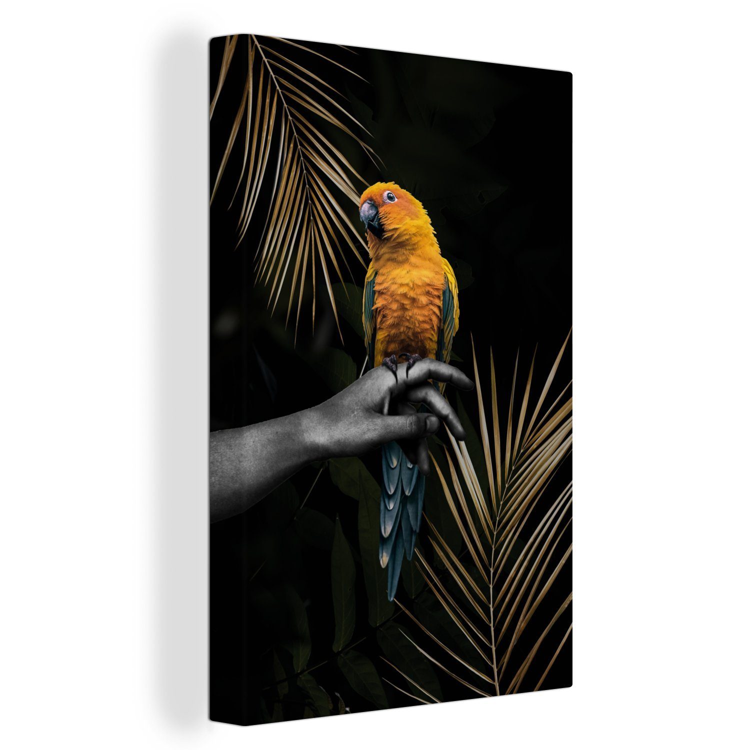 OneMillionCanvasses® Leinwandbild Papagei - Zweig - Dunkel, (1 St), Leinwandbild fertig bespannt inkl. Zackenaufhänger, Gemälde, 20x30 cm