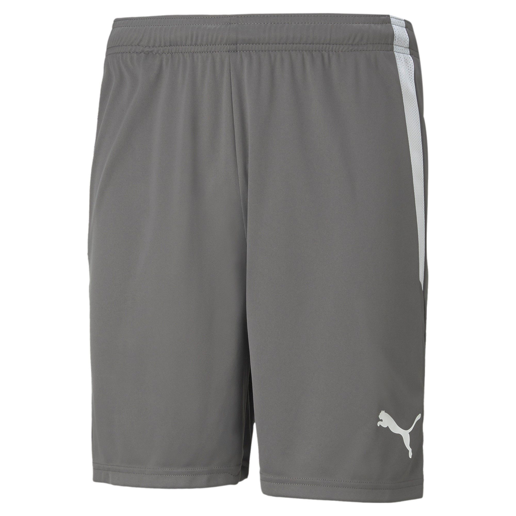 PUMA Trainingsshorts Puma Herren Shorts teamLIGA Shorts 704924 günstig online kaufen
