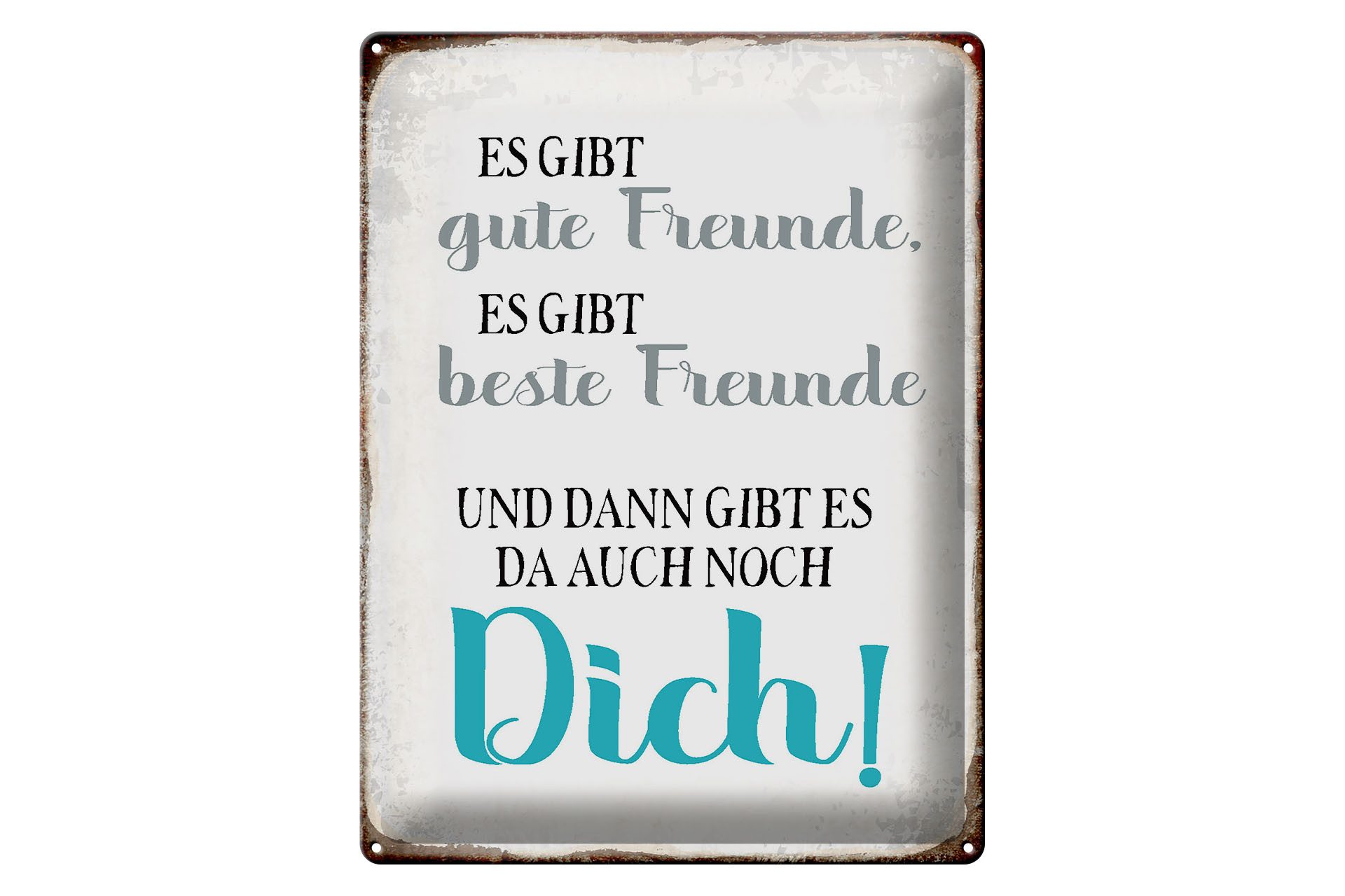 Metallschild Spruch 30x40cm gibt gute Freunde auch noch Dich