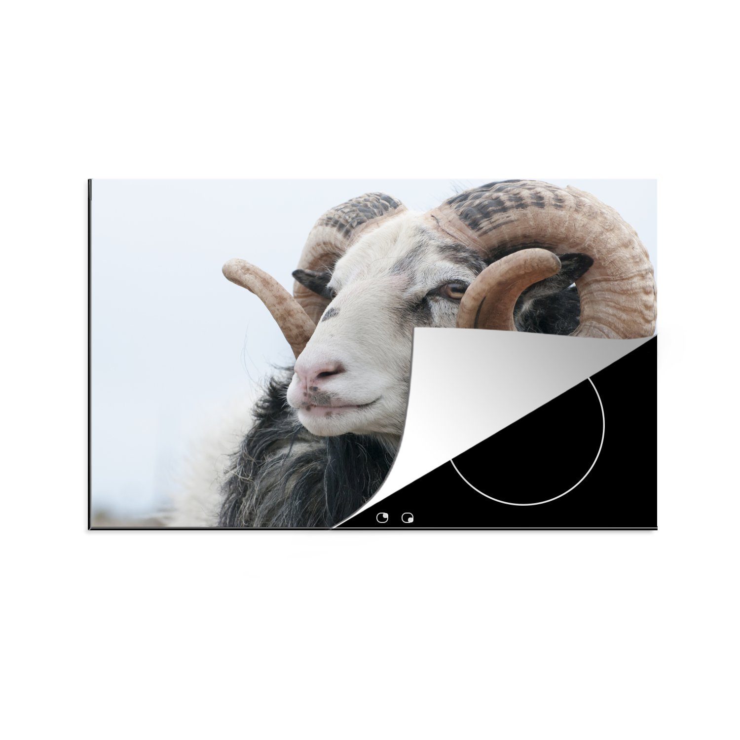 MuchoWow Herdblende-/Abdeckplatte Schafe - Horn - Tiere, Vinyl, (1 tlg), 81x52 cm, Induktionskochfeld Schutz für die küche, Ceranfeldabdeckung