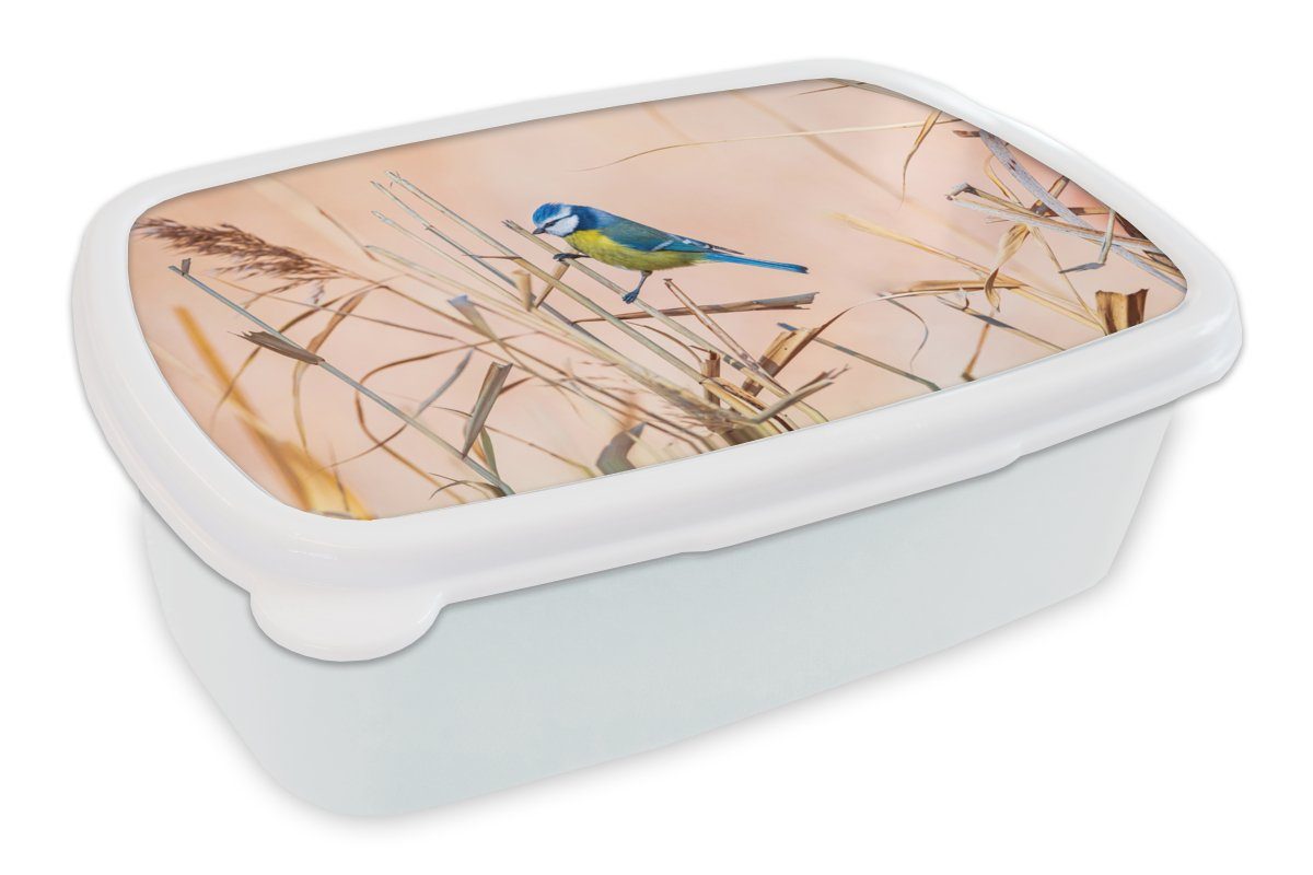 MuchoWow Lunchbox Vogel - Blaumeise - Schilf, Kunststoff, (2-tlg), Brotbox für Kinder und Erwachsene, Brotdose, für Jungs und Mädchen weiß