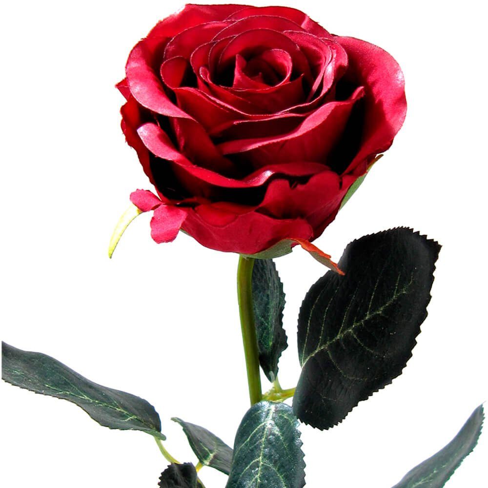 Kunstblume Rose Madame Stielrose Kunstpflanze 37 cm 1 Stk dunkelrot Rosen, matches21 HOME & HOBBY, Höhe 37 cm, Indoor