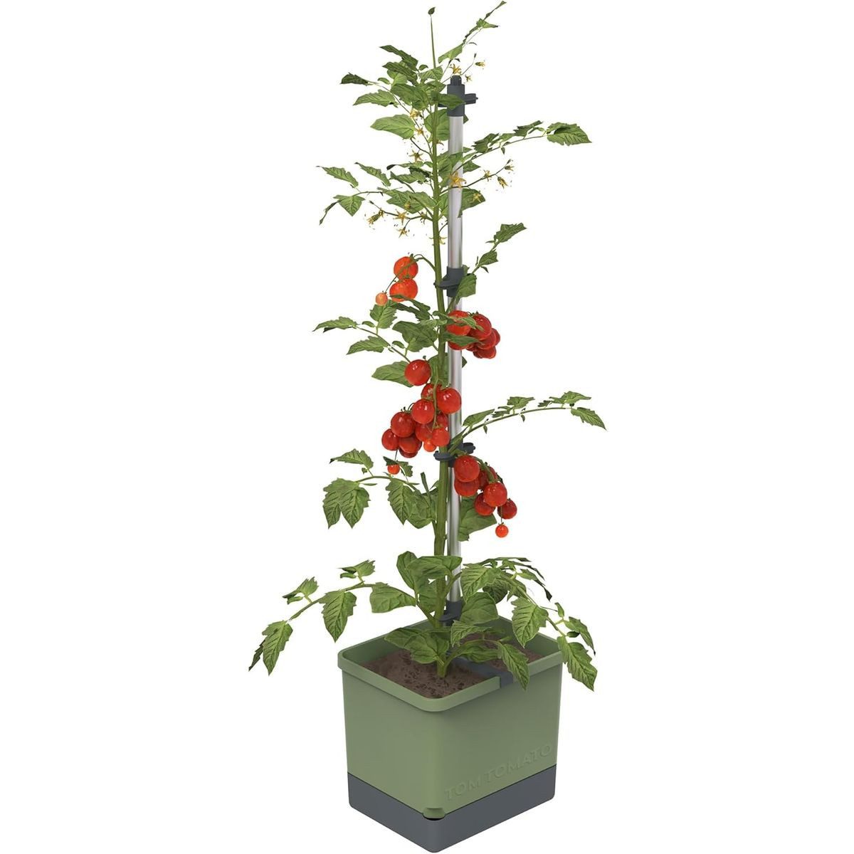 Gusta Garden Pflanzkübel TOM TOMATO (inkl. stabiler Rankhilfe und Bewässerungssystem), Tomatentopf für Balkon, Terrasse & Garten, dunkelgrün