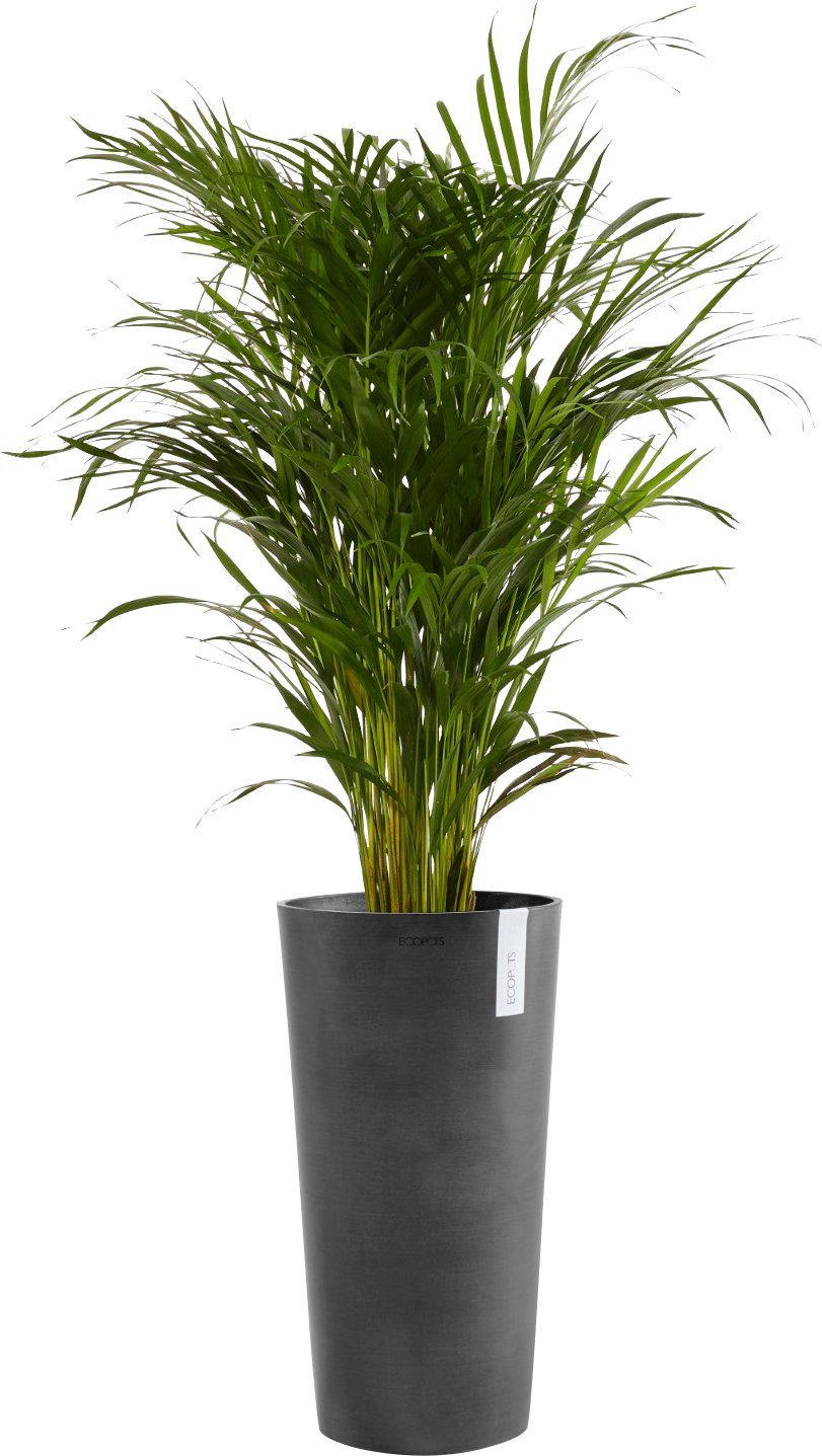 ECOPOTS Blumentopf AMSTERDAM MID HIGH Dark günstig online kaufen