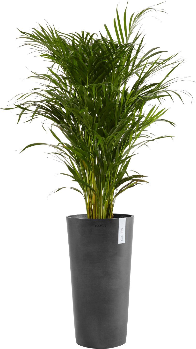 ECOPOTS Blumentopf AMSTERDAM MID Dark HIGH 34x34x66 Grey, cm BxTxH