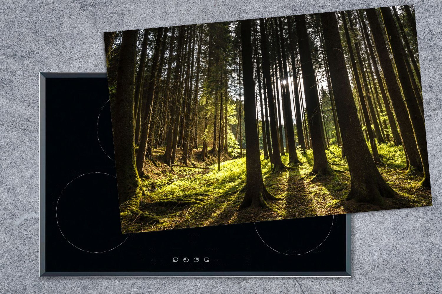 die küche, Sonne - Baum Ceranfeldabdeckung - 80x52 cm, - für Vinyl, Herdblende-/Abdeckplatte Schutz MuchoWow Wald, (1 tlg), Natur Induktionskochfeld