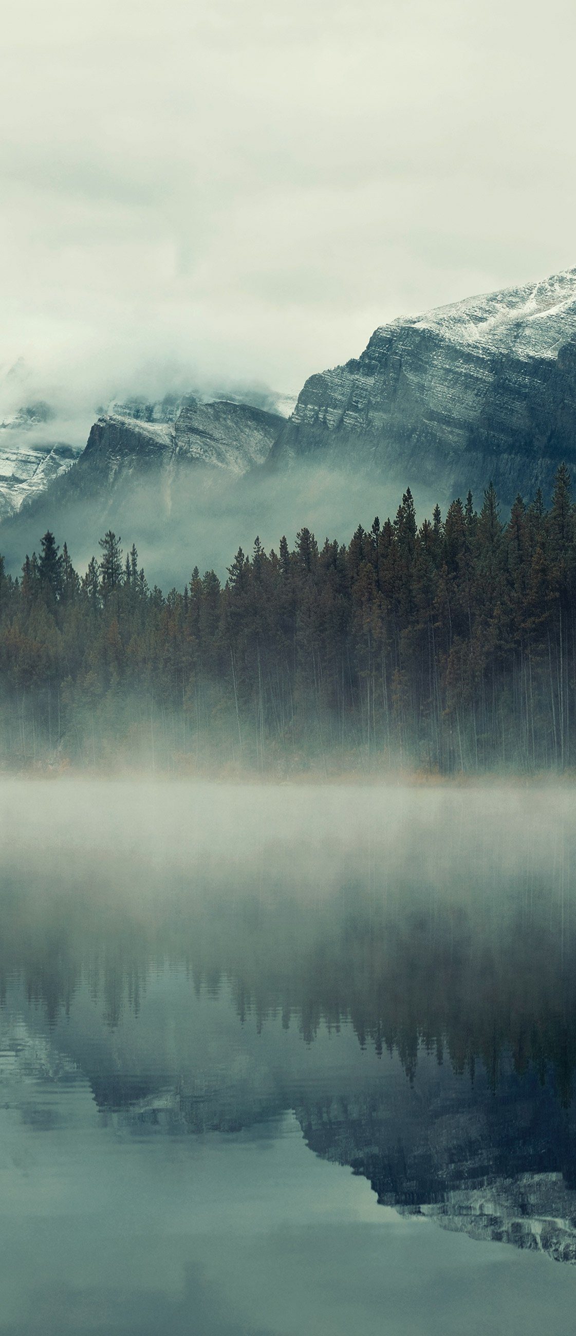 Wallarena Türtapete Selbstklebend Wald Berge Landschaft günstig online kaufen