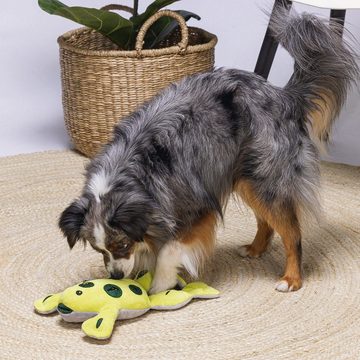 Beeztees Tier-Intelligenzspielzeug Hundespielzeug Hide 'n' Seek Frosch