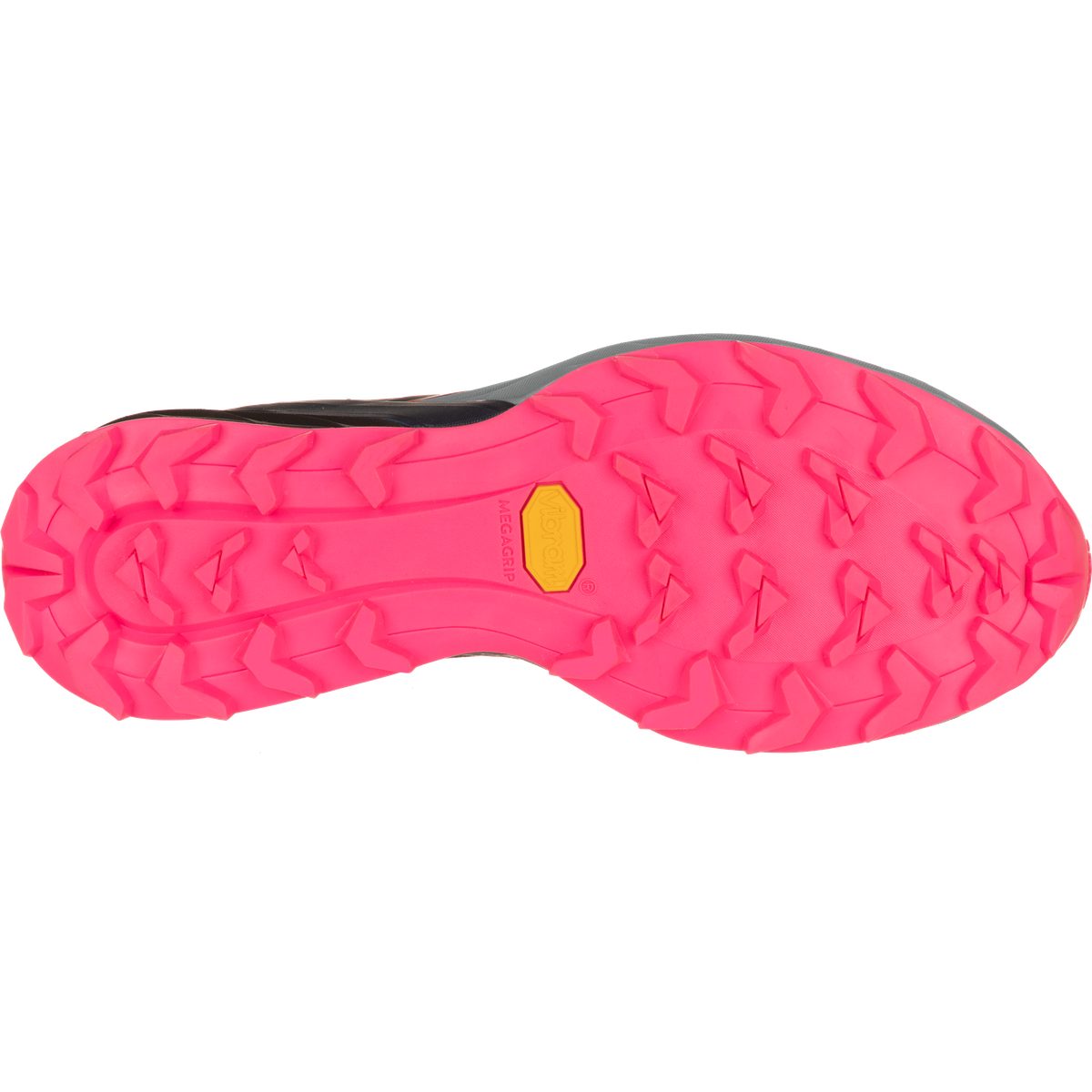 Dynafit Trail-Running-Schuh Alpine (Damen) – DynaFit Outdoorschuh