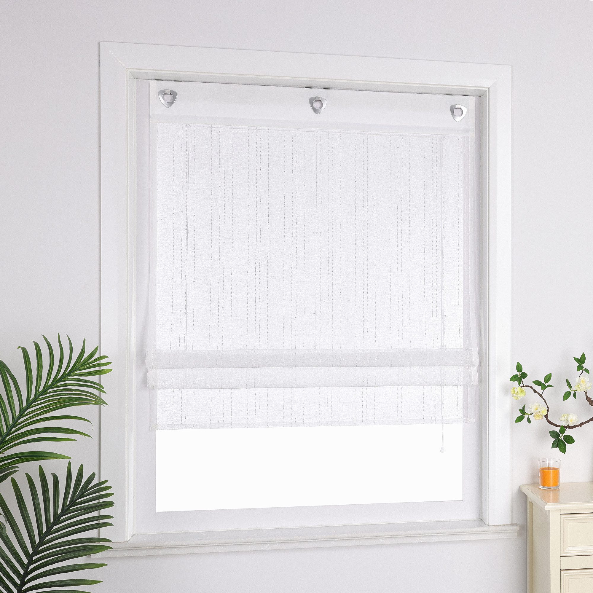 Delien Raffrollo Ursel, mit Hakenaufhängung, Voile Ösenrollo mit schönen Lä günstig online kaufen