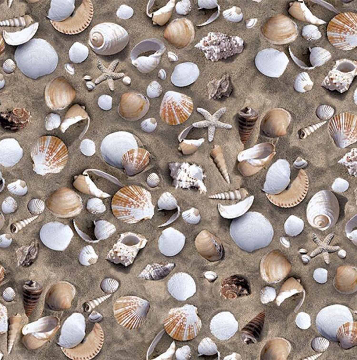 d-c-fix Möbelfolie Venus - selbstklebende Dekofolie Strandmotiv Klebefolie Möbel Küche, Designfolie 150 x 45cm - zuschneidbar und rückstandslos entfernbar