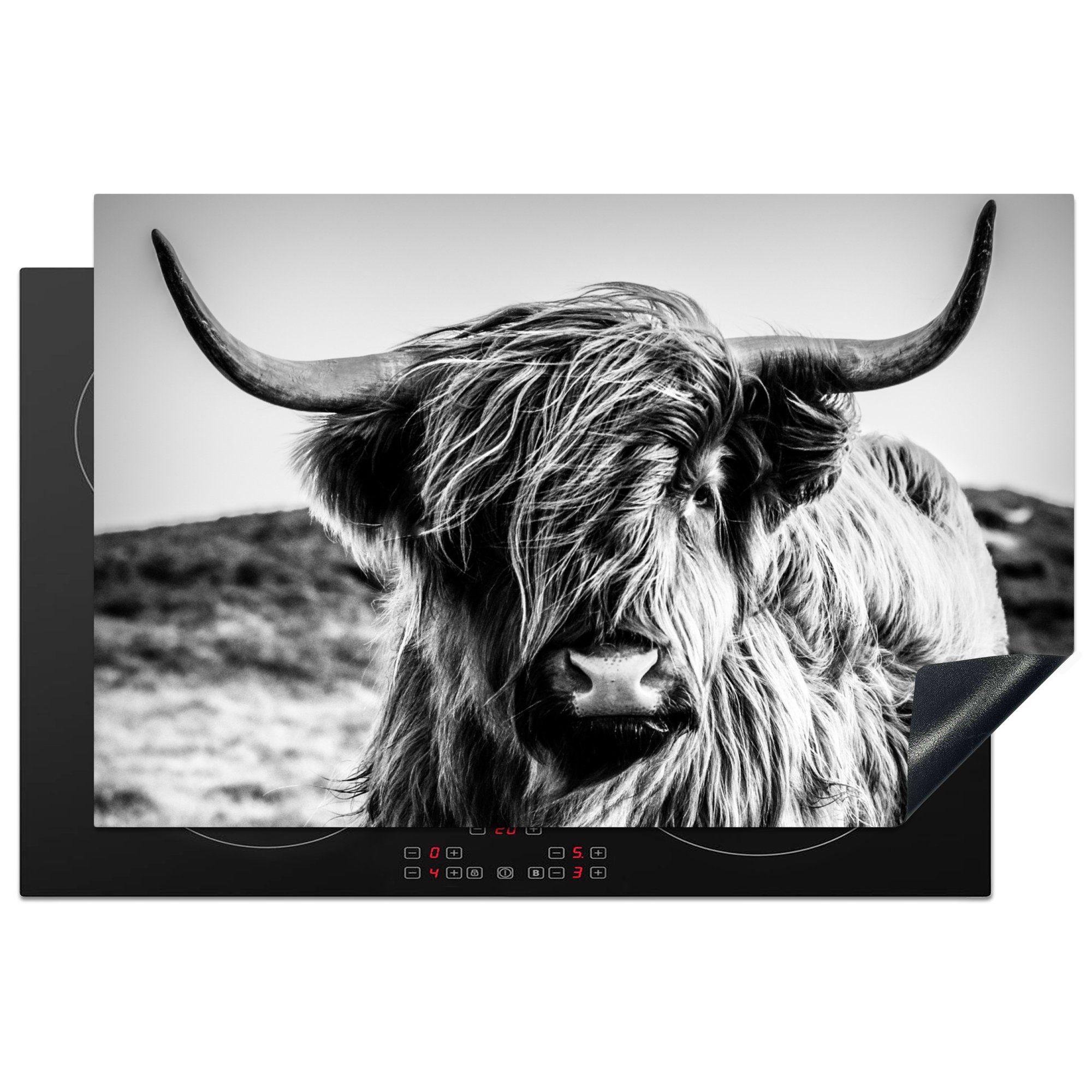 MuchoWow Herdblende-/Abdeckplatte Schottischer Highlander - Natur - Kuh - Schwarz - Weiß, Vinyl, (1 tlg), 81x52 cm, Induktionskochfeld Schutz für die küche, Ceranfeldabdeckung
