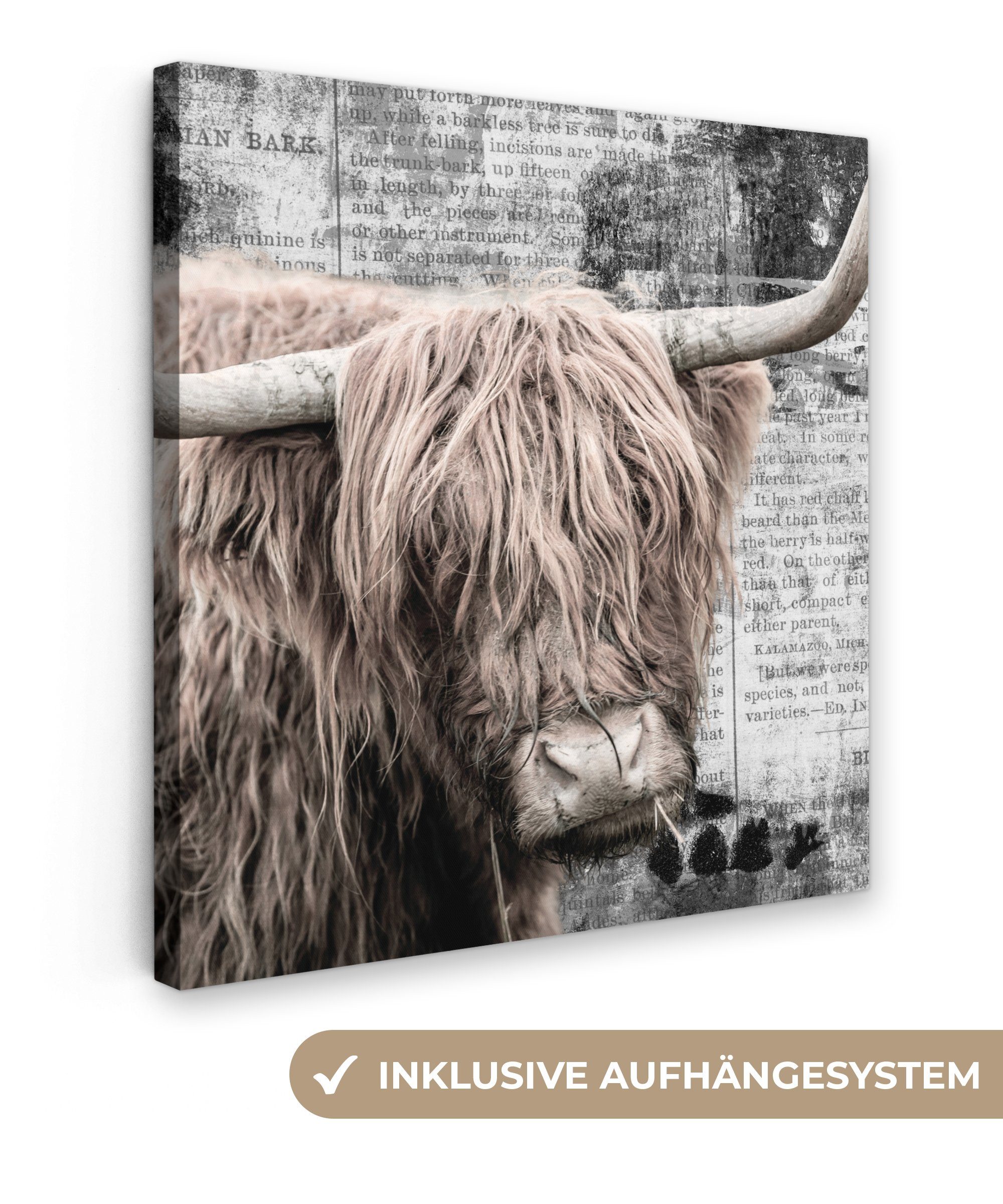 OneMillionCanvasses® Leinwandbild Schottischer Highlander - Zeitung - Retro, (1 St), Leinwand Bilder für Wohnzimmer Schlafzimmer, 20x20 cm