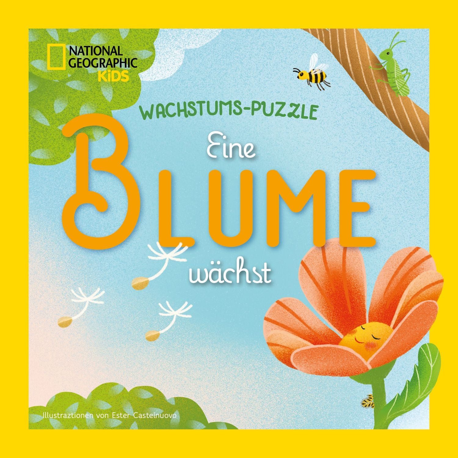 Eine Blume wächst / diverse