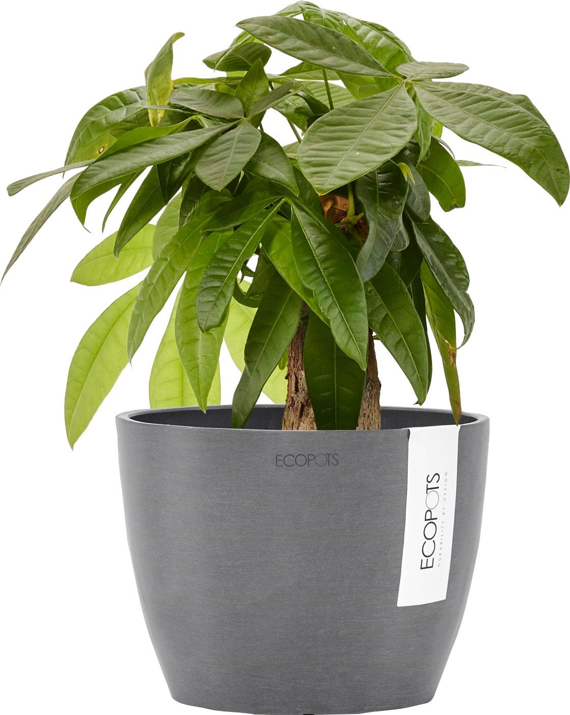 Ecopots Blumentopf Stockholm Grau 16 cm günstig online kaufen