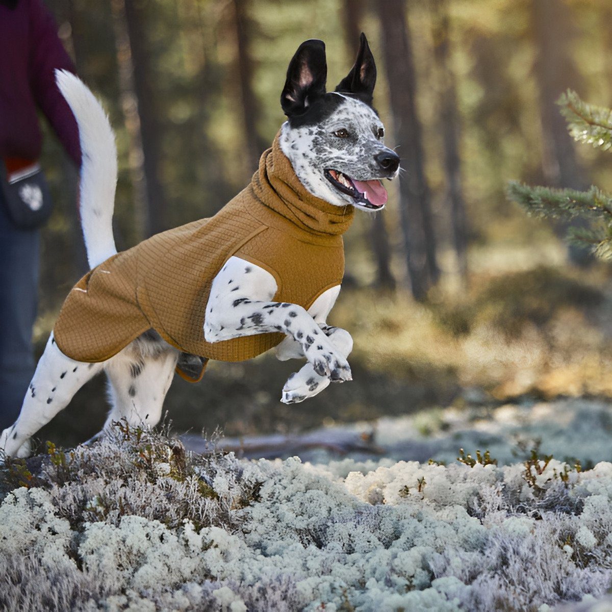HURTTA Hundemantel Hundejacke Warming Midlayer desert (beige)