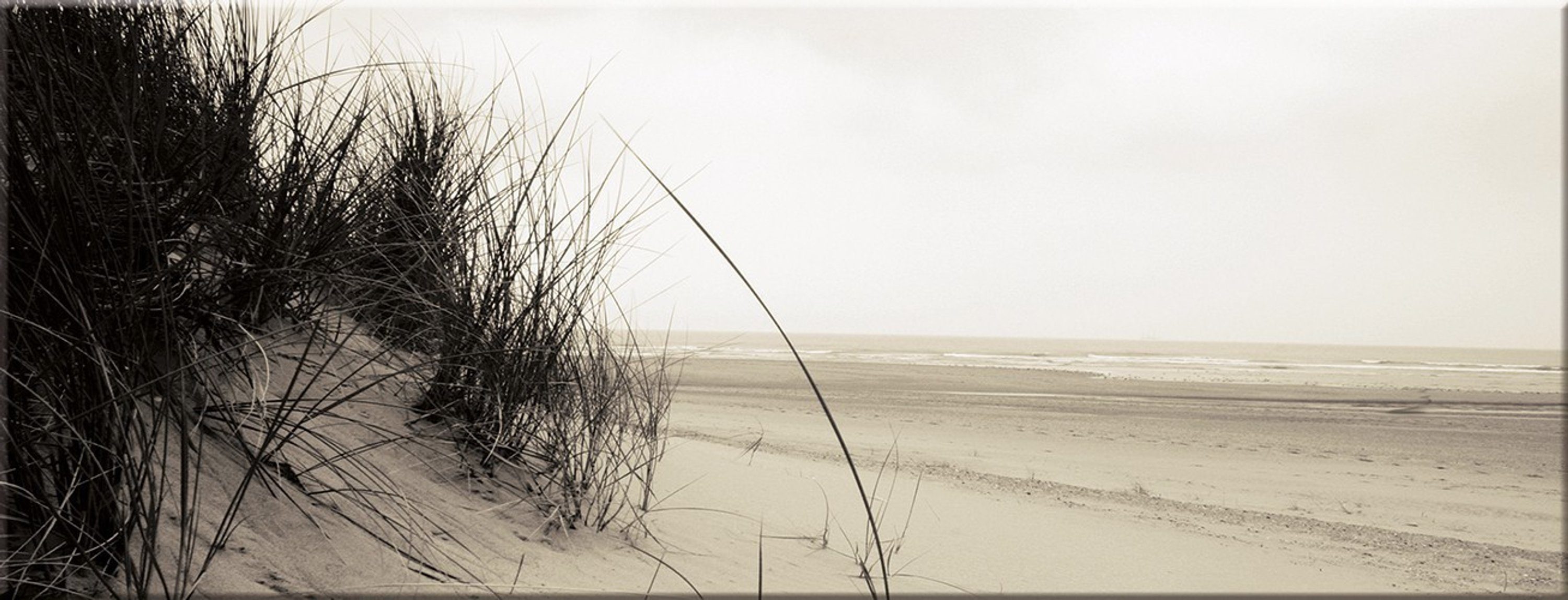 Strand aus Beige, Glasbild 80x30cm Glasbild Düne Meer Strandgräser Landschaft Fotografie: artissimo Glas Bild