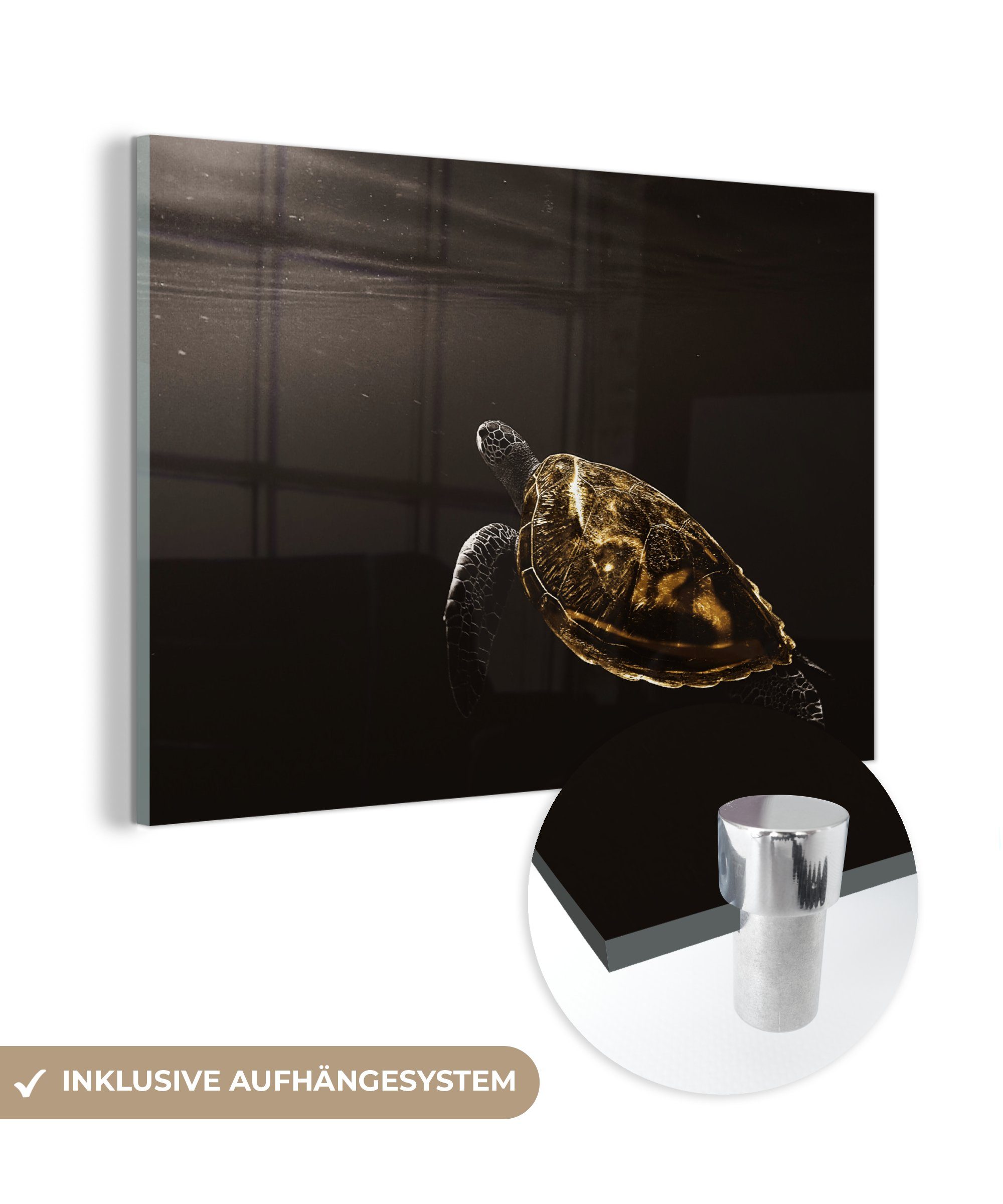 Wanddekoration Bilder St), auf Foto Acrylglasbild (1 Gold, - Glasbilder Glas - - Wandbild Schwarz MuchoWow Schildkröte auf - Glas -