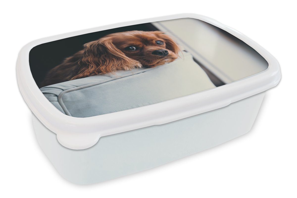 MuchoWow Lunchbox Hund - Stuhl - Kopf, Kunststoff, (2-tlg), Brotbox für Kinder und Erwachsene, Brotdose, für Jungs und Mädchen weiß