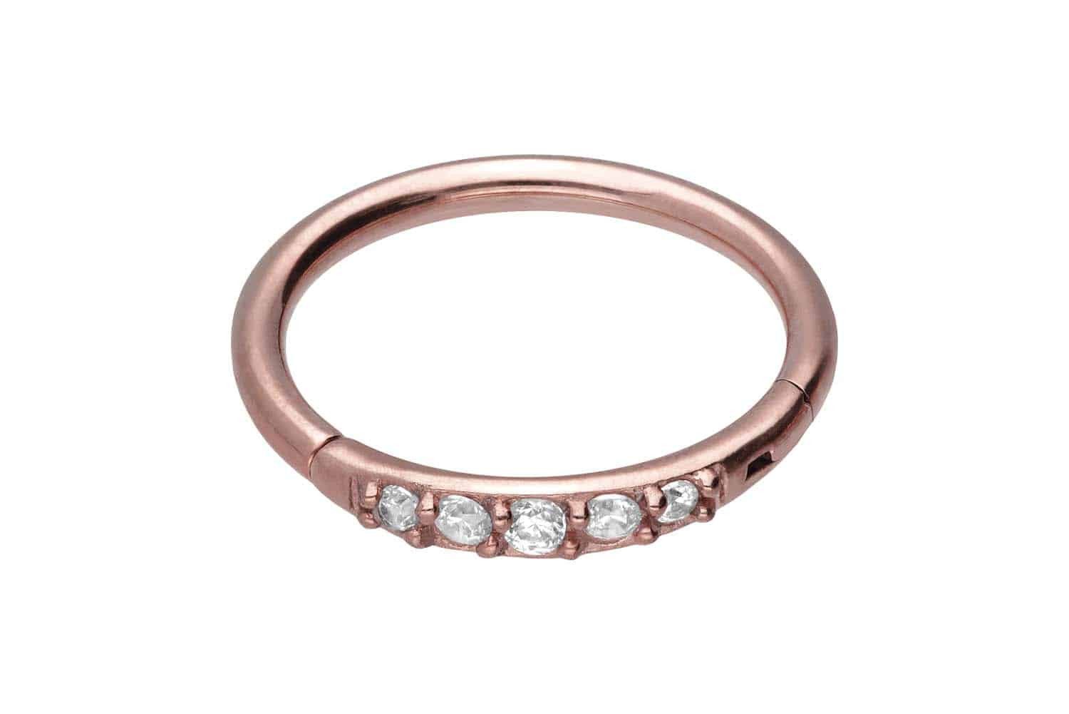 PIERCINGLINE Piercing-Set Chirurgenstahl Segmentring Clicker 5 günstig online kaufen