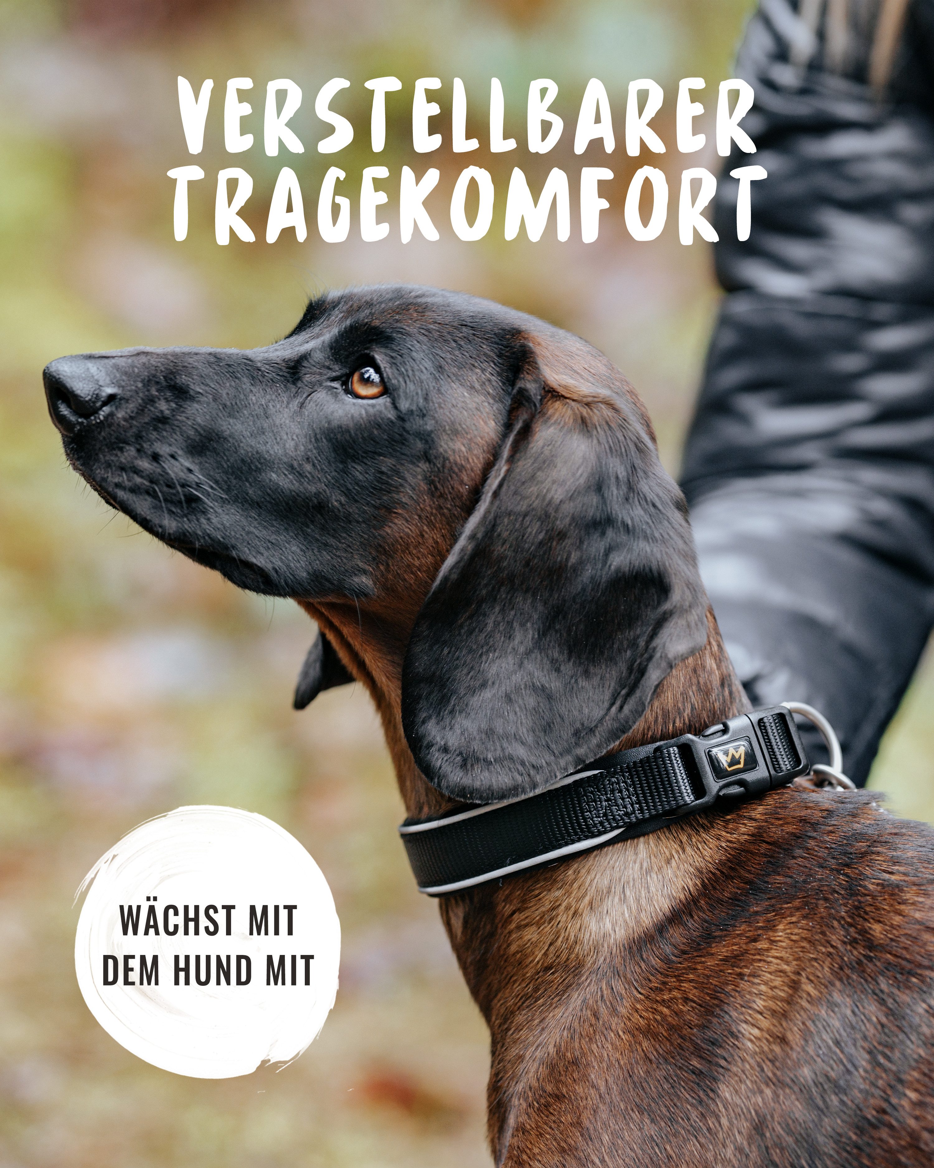 Rudelkönig Hunde-Halsband Paola Hundehalsband reflektierend, Robustes Hunde Halsband, Nylon, Verstellbares Halsband in verschiedenen Größen